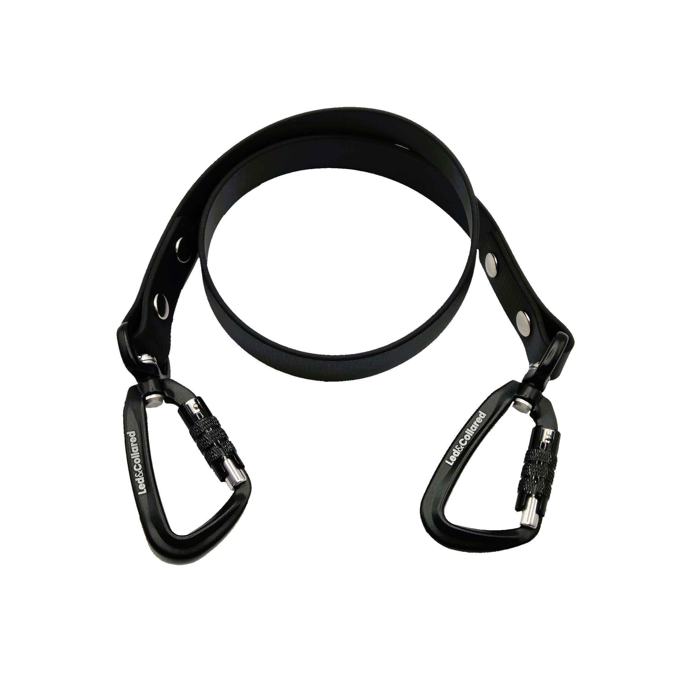 Double Dog Lead Addition