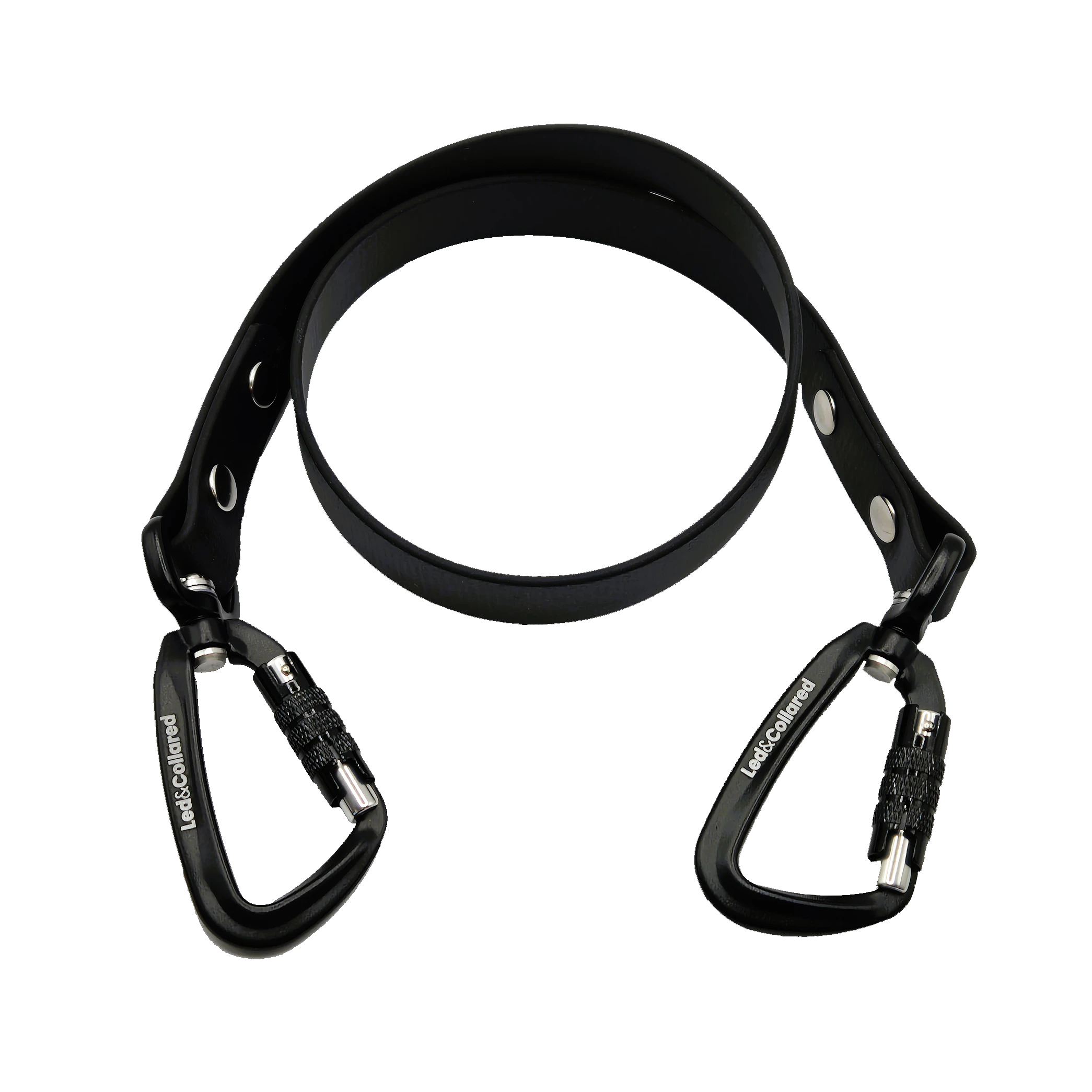 Dog Lead Addition - Black