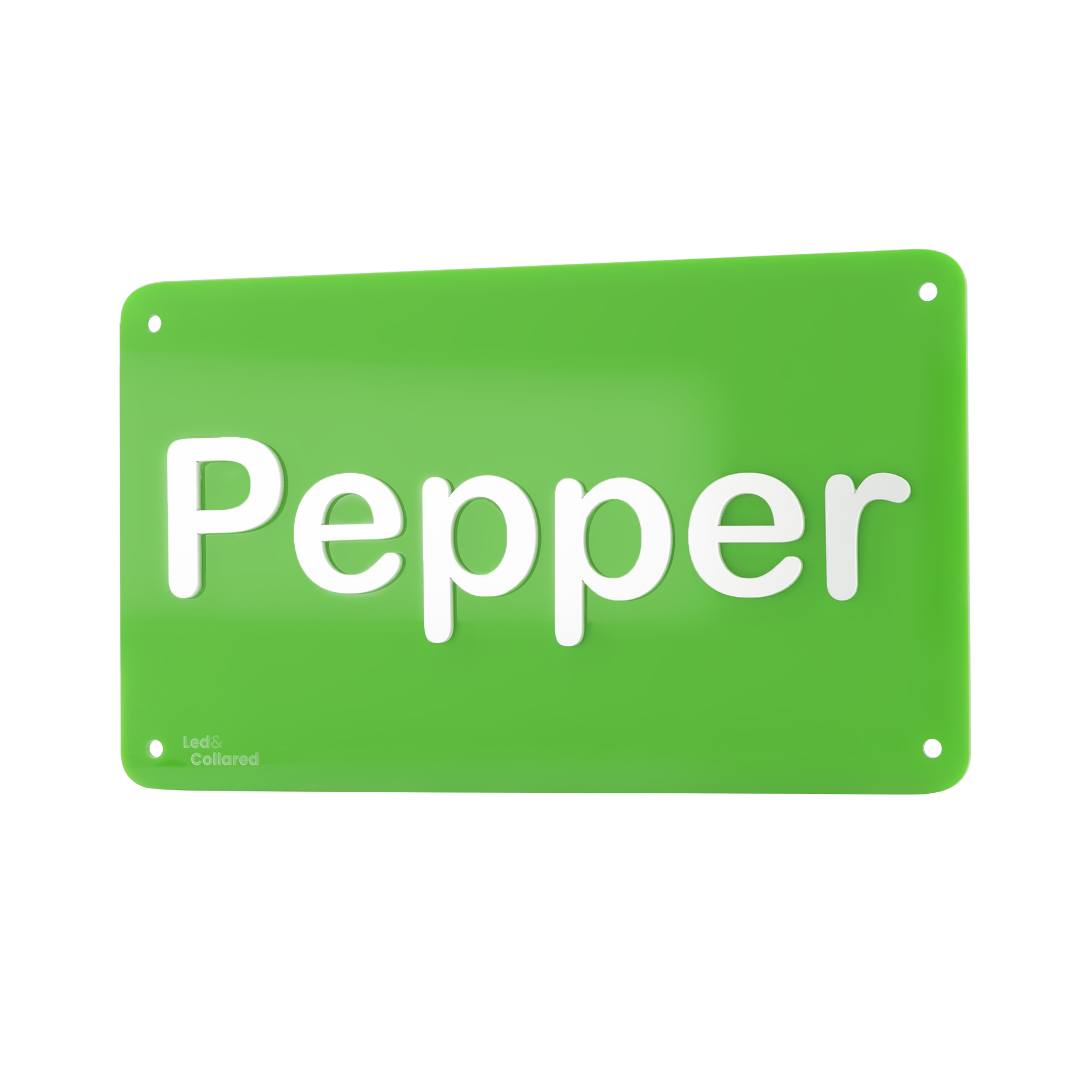 Name Sign - Greem and Silver