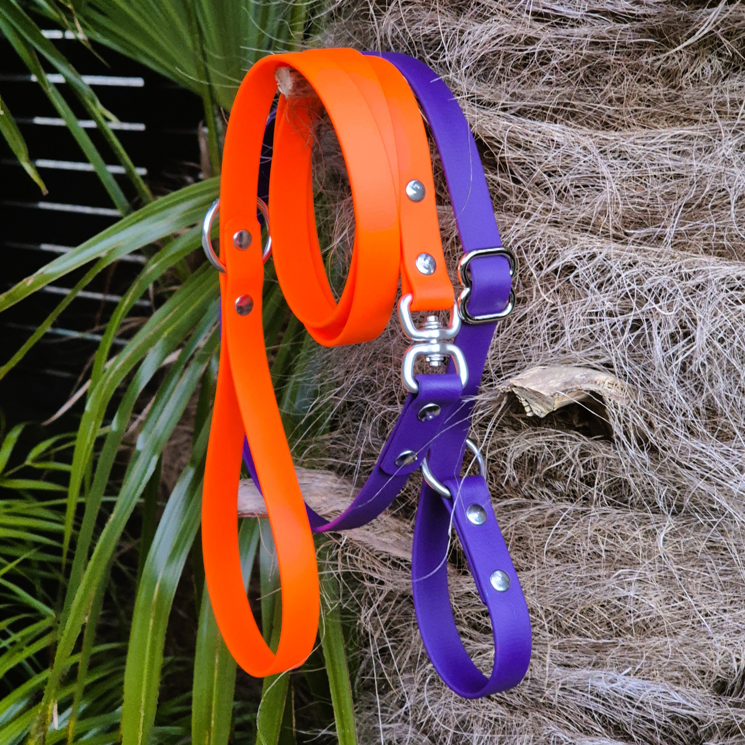 Dog Slip Lead - Orange and Violet Outdoors