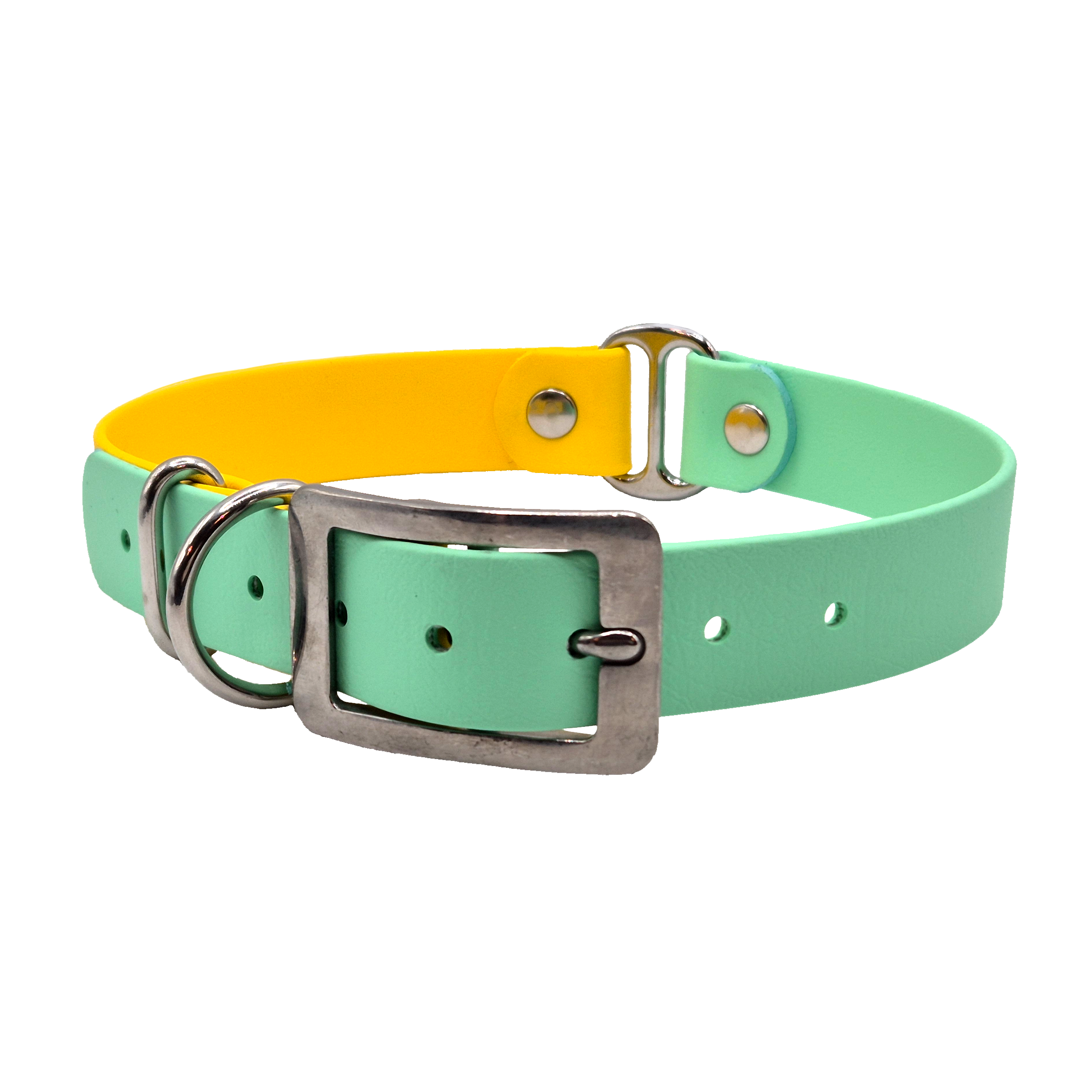 Two-Tone Dog Collar - Seafoam and Yellow