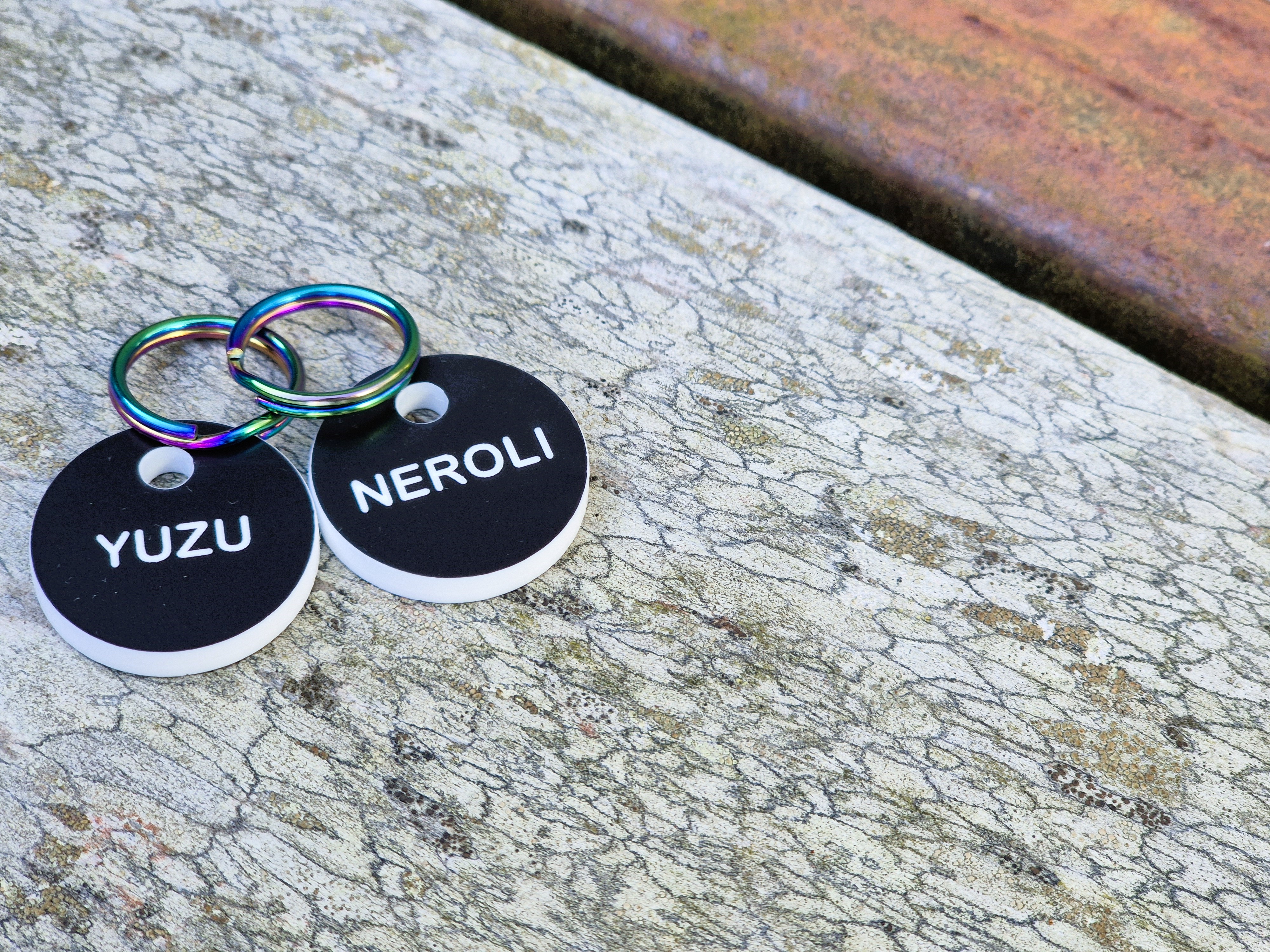 Acrylic Tag Black and White - Circles - Outdoor