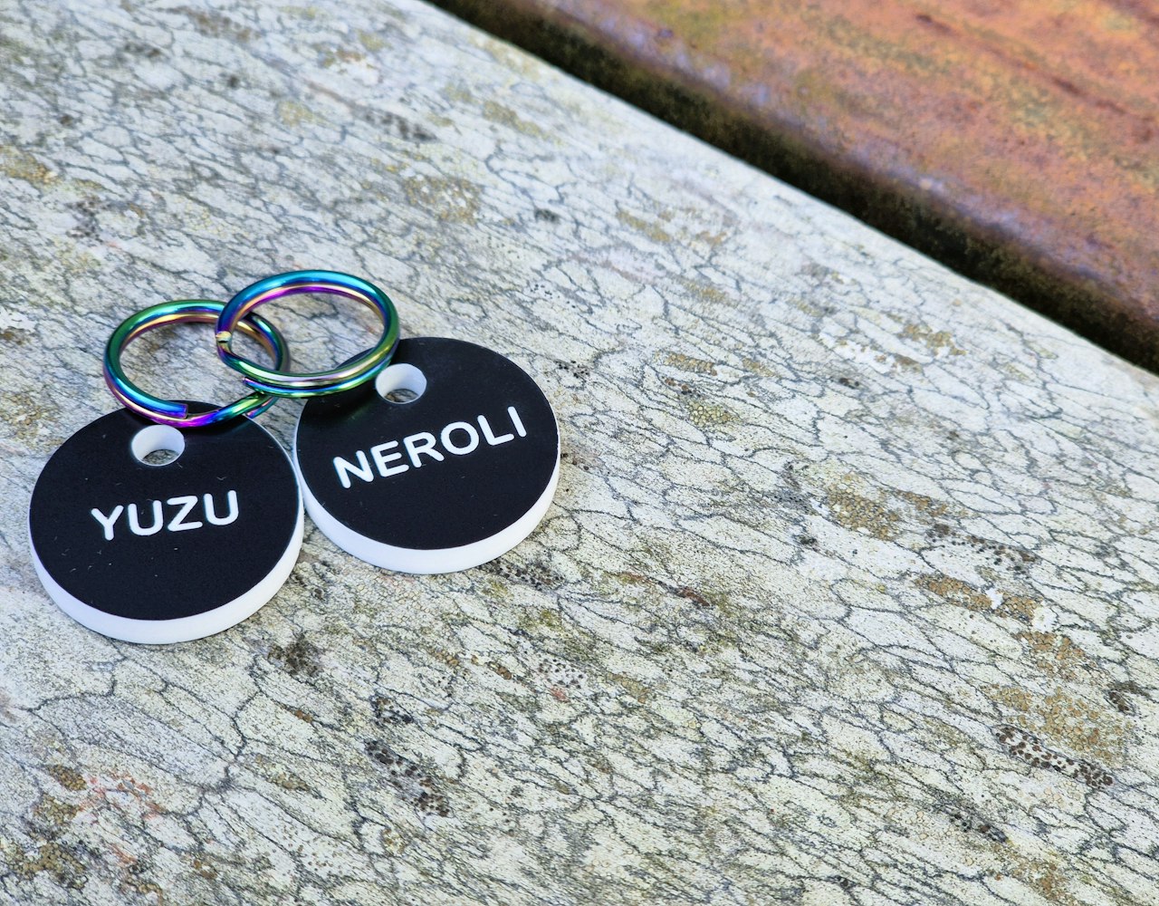 Acrylic Tag Black and White - Circles - Outdoor