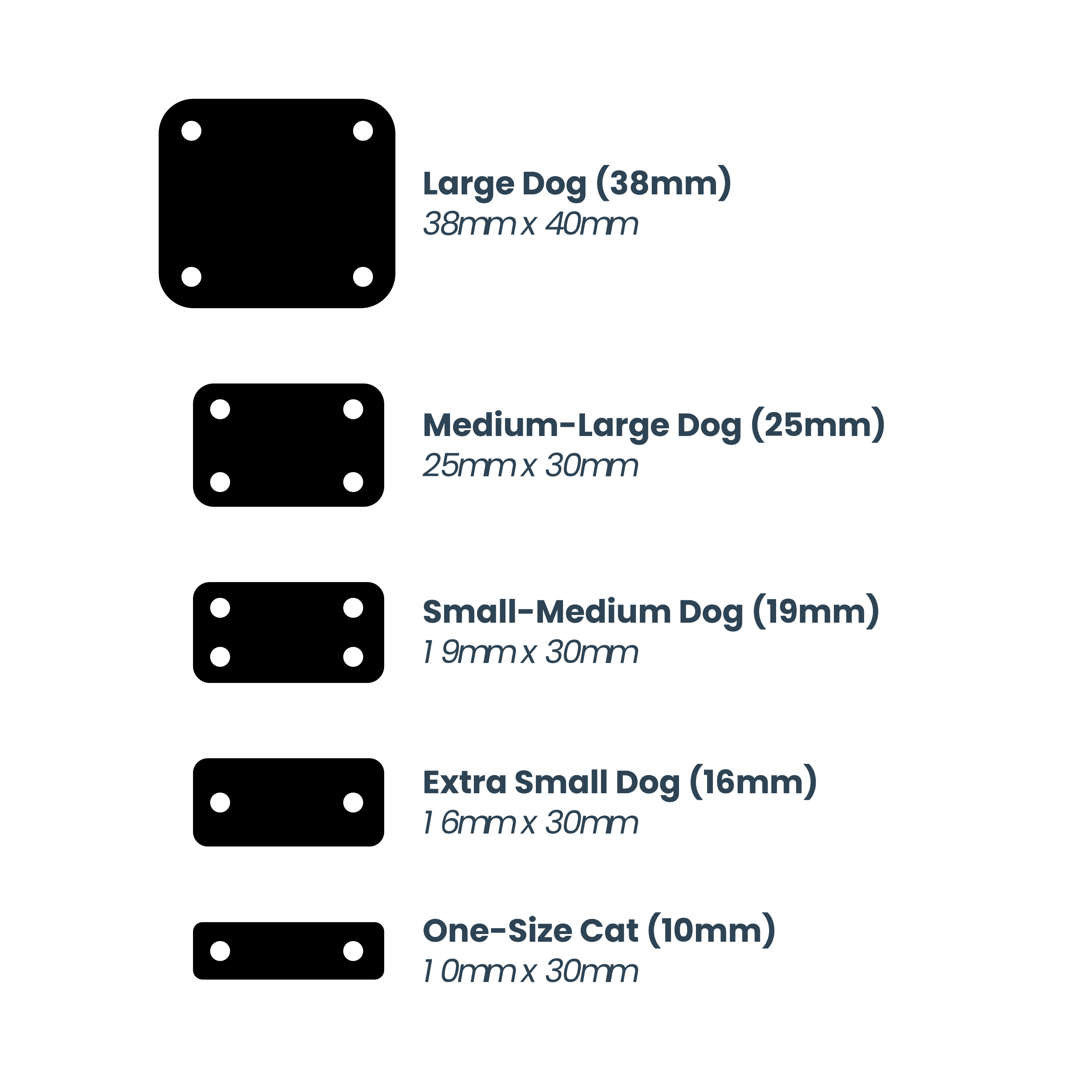 Scrag Tags - Size Dimensions