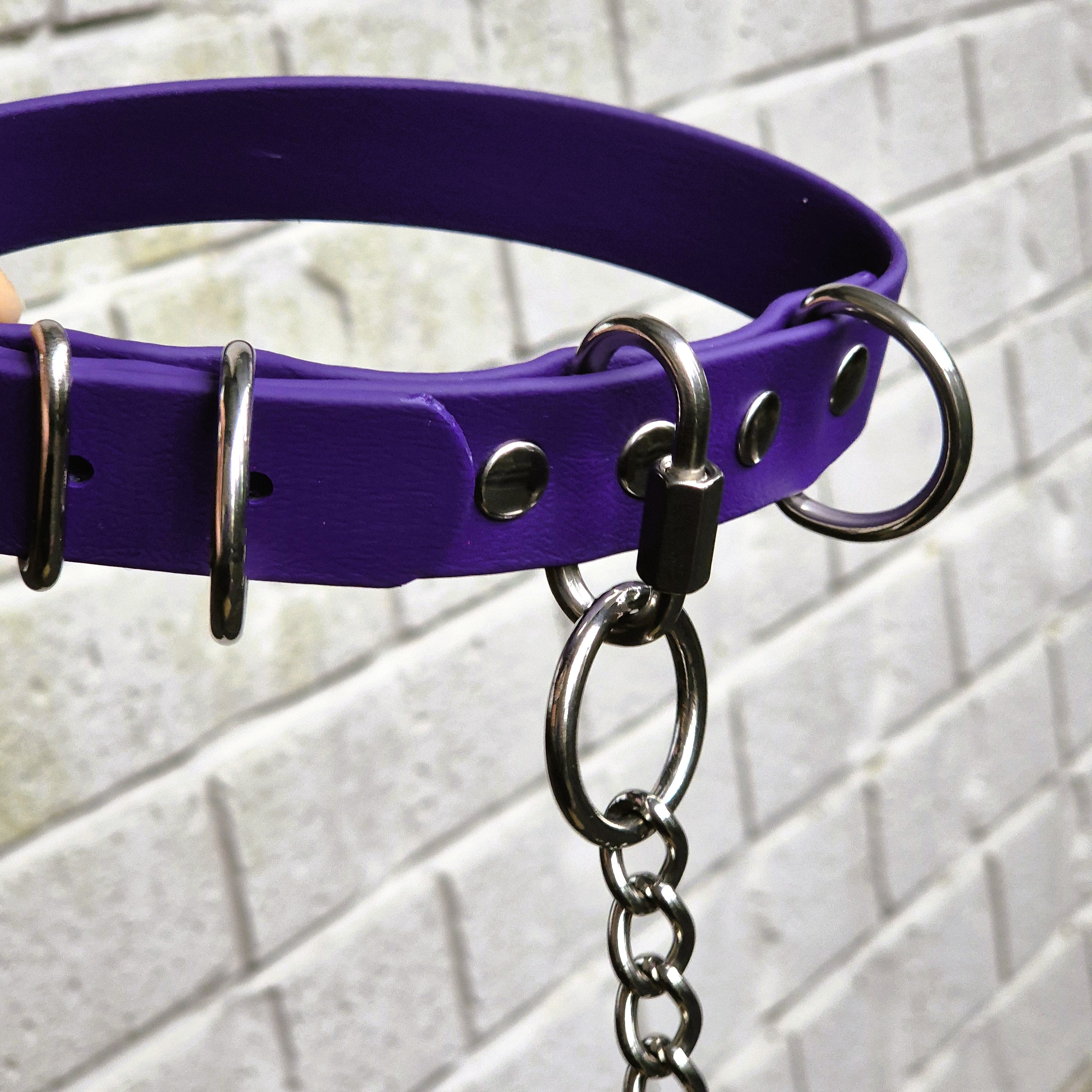 Farm Dog Collar - Violet Collar - Close
