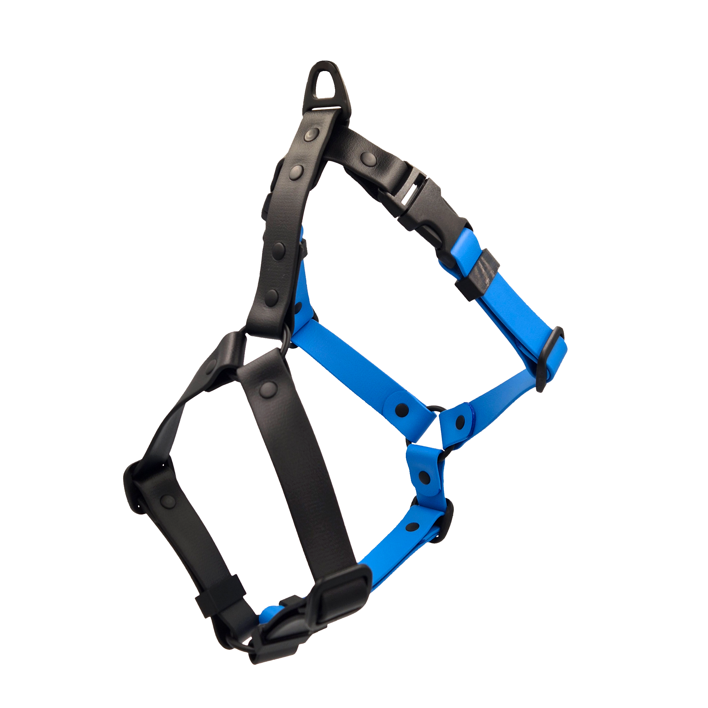 Anatomical Dog Harness - Black and Light Blue
