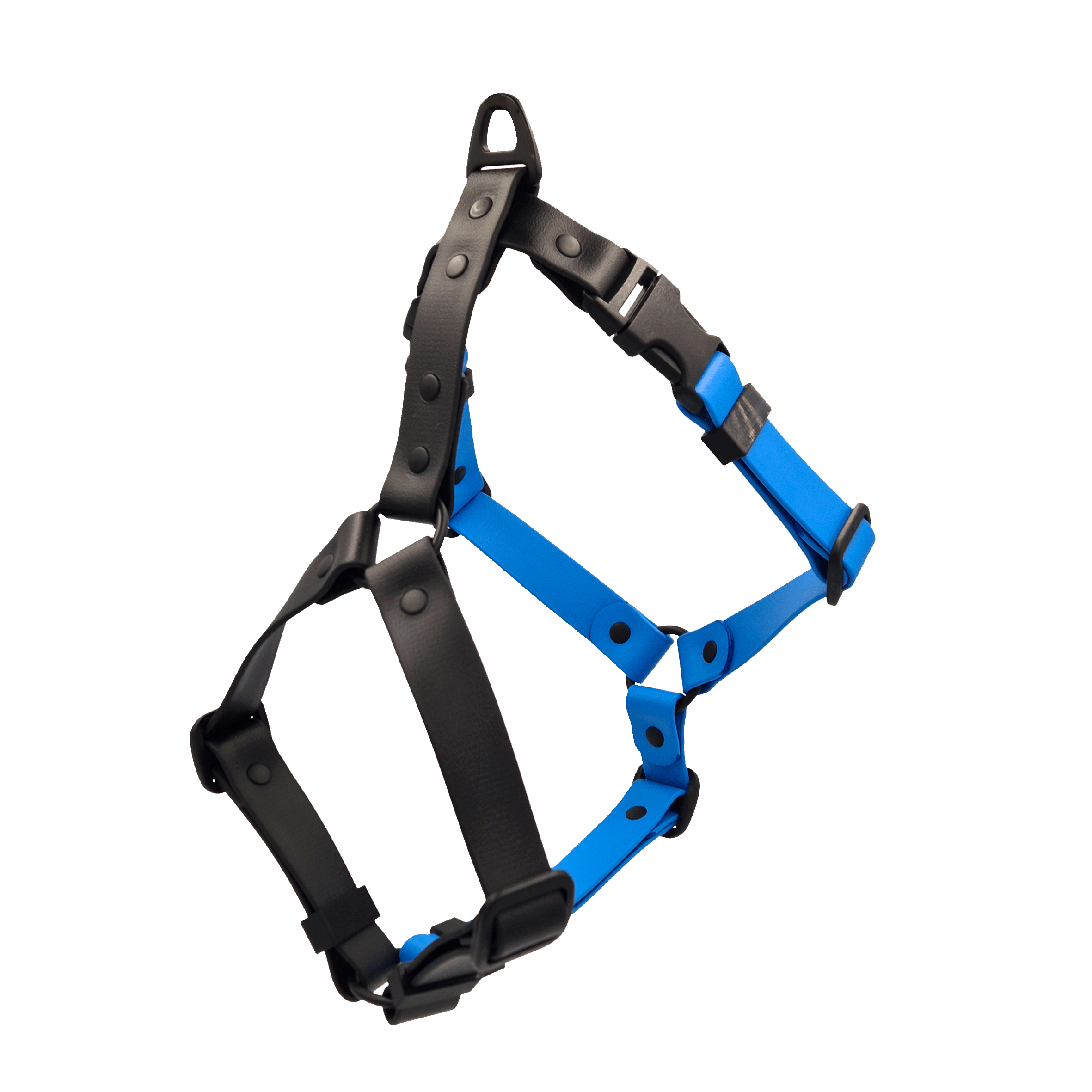 Anatomical Dog Harness - Black and Light Blue