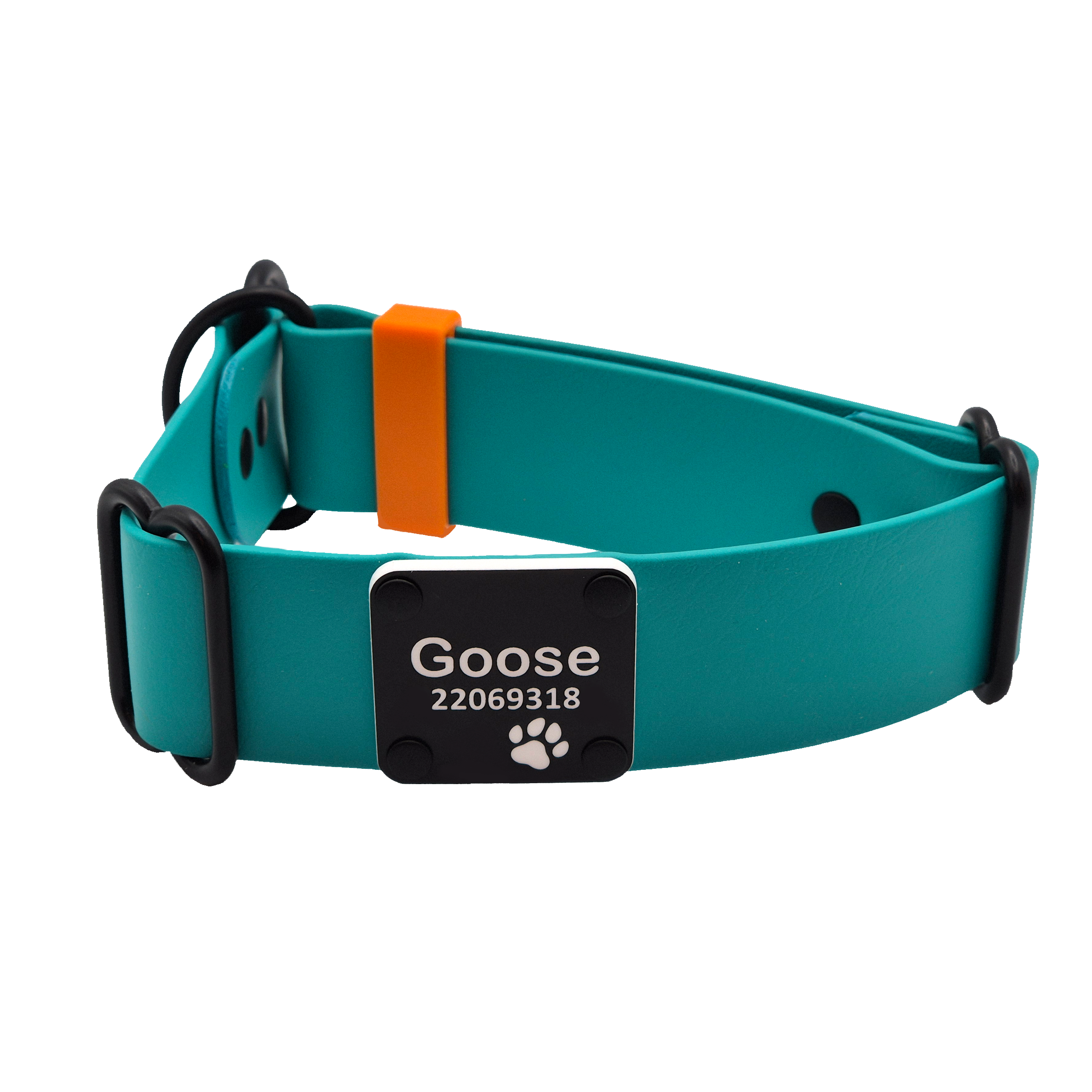Limited Slip Dog Collar - 38mm Wide - Teal with Black Brass
