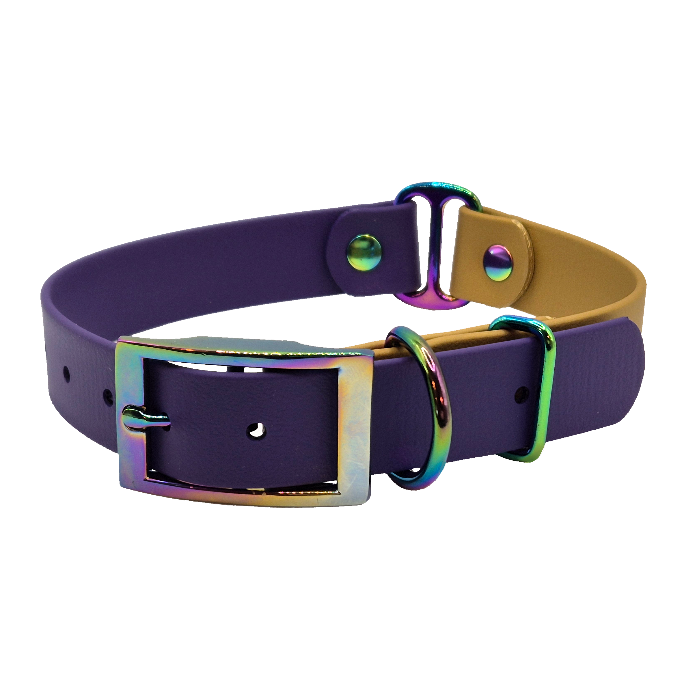 Two-Tone Dog Collar - Violet and Gold