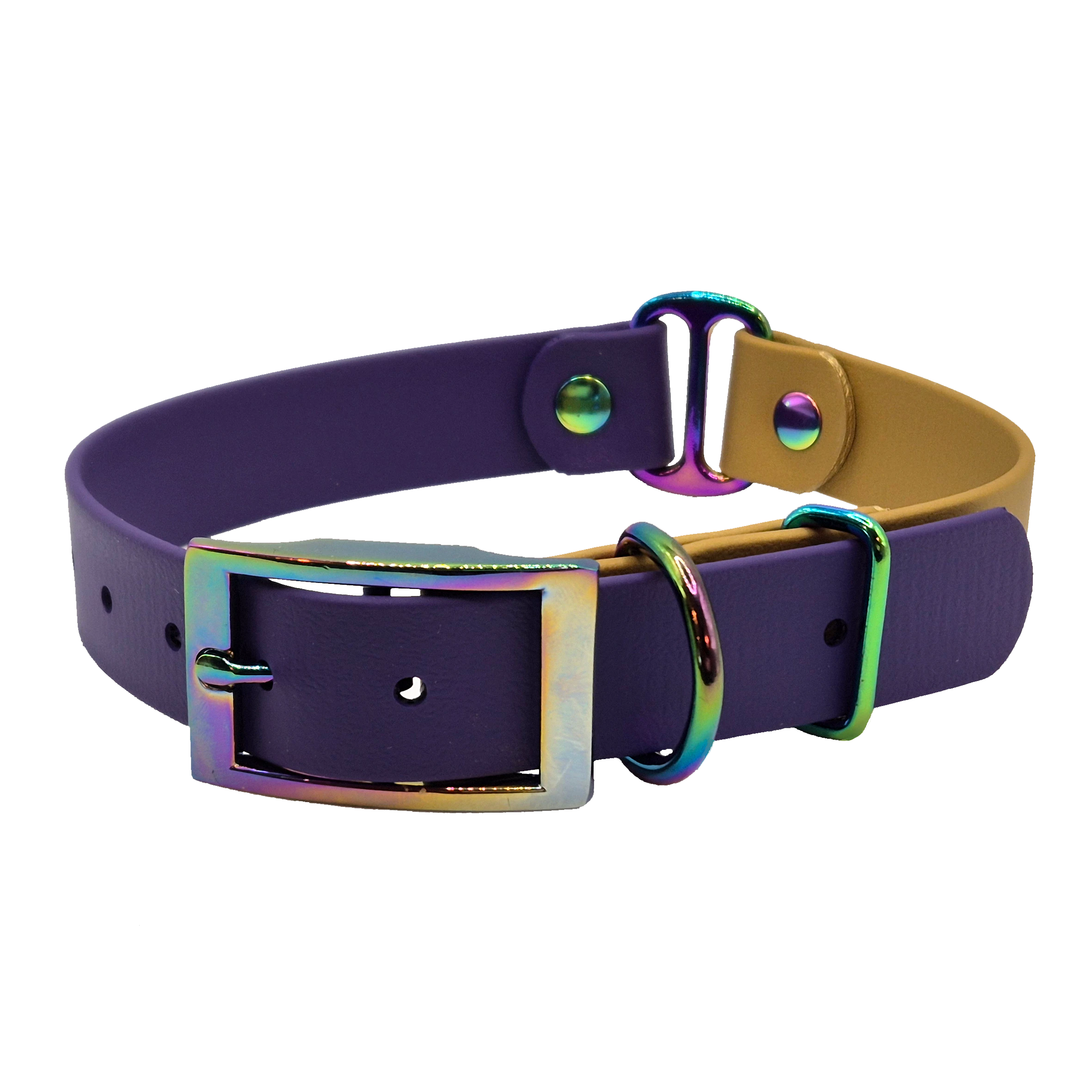 Two-Tone Dog Collar - Violet and Gold