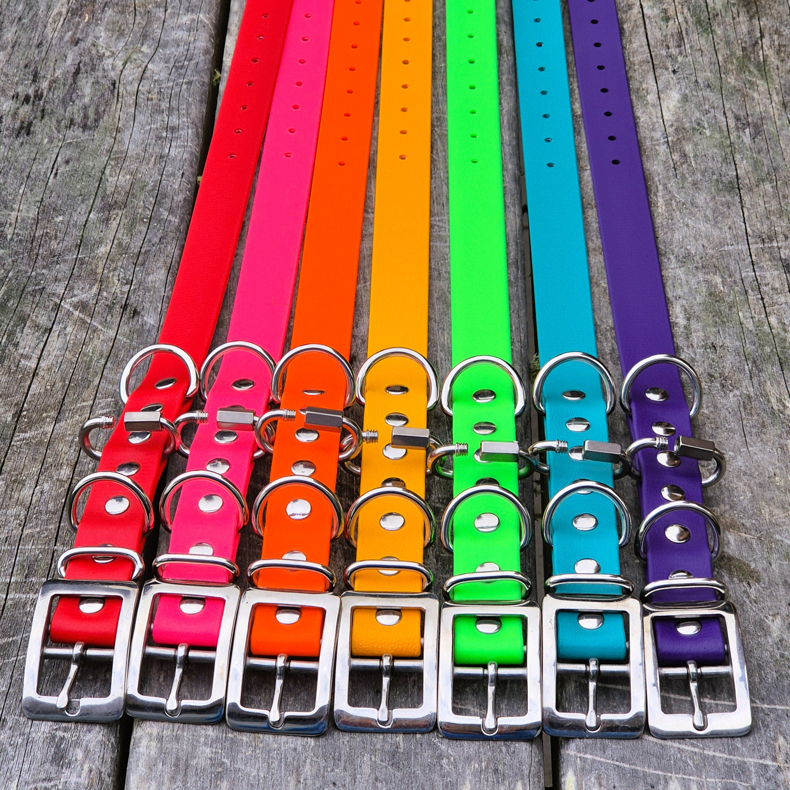 Farm Dog Collars - Multiple Colours - Square