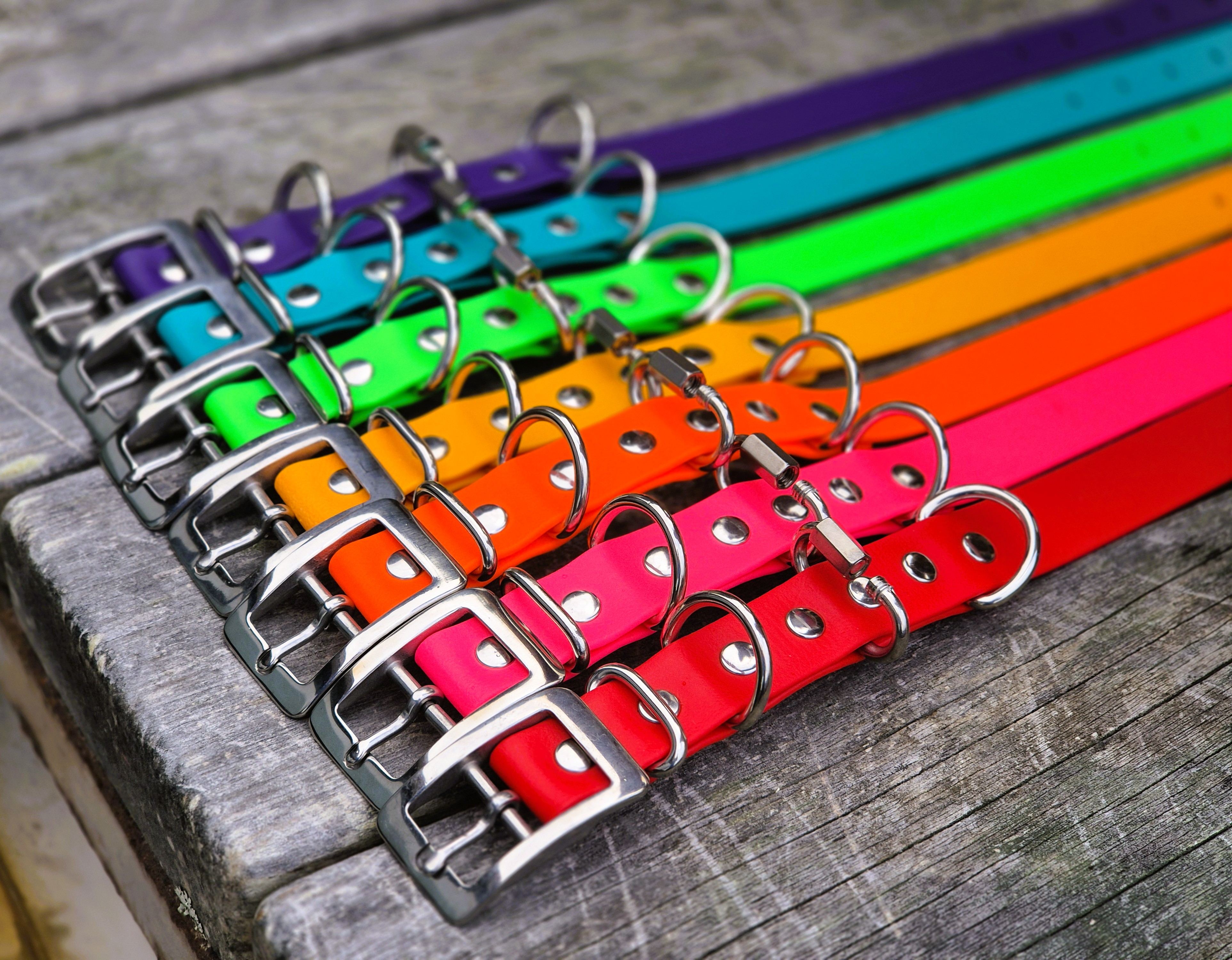 Farm Dog Collars - Multiple Colours - Side
