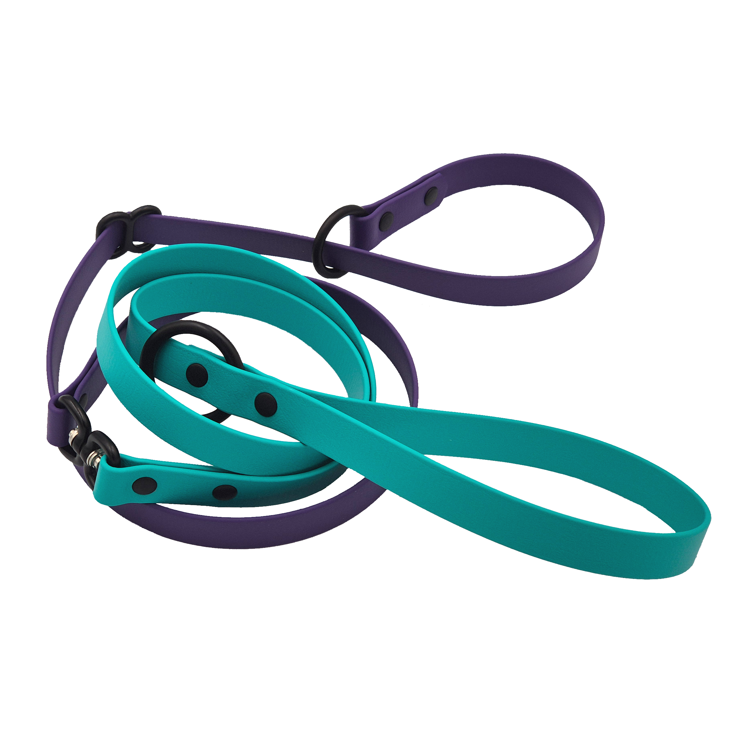 Dog Slip Lead - Teal and Violet