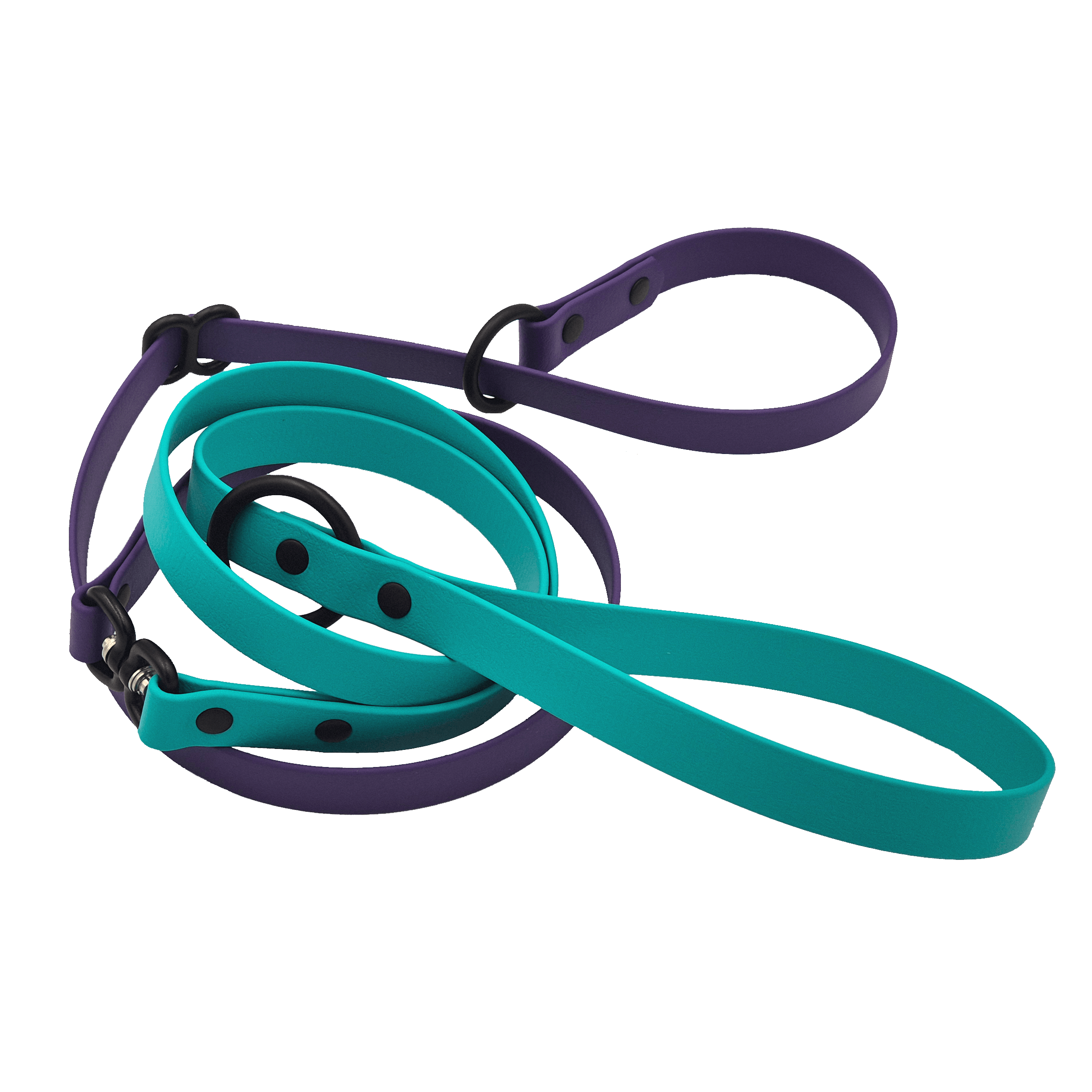 Dog Slip Lead - Teal and Violet