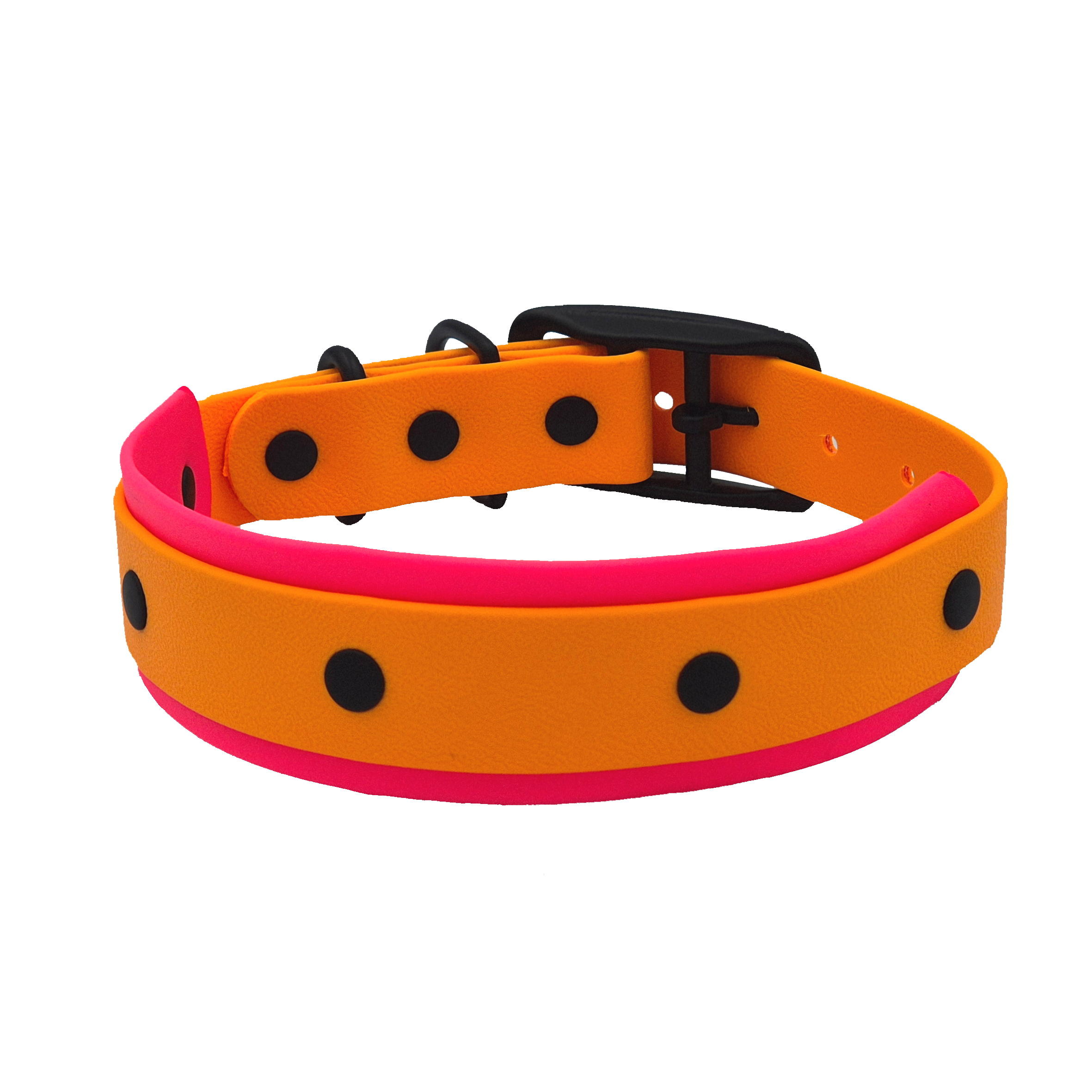 Double Dog Collar - Pink and Light Orange w Black Brass