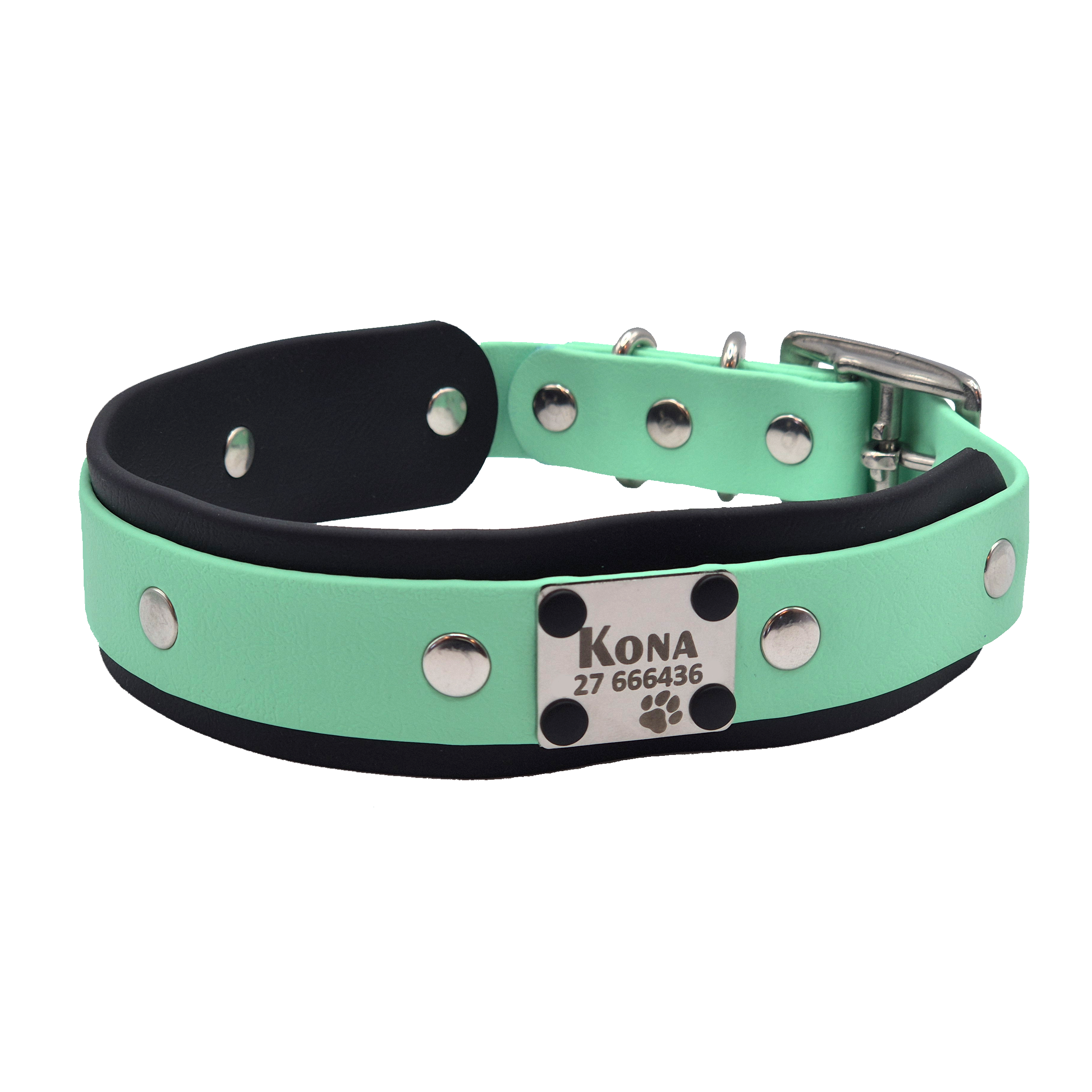 Double Dog Collar - Black and Seafoam w Stainless Steel