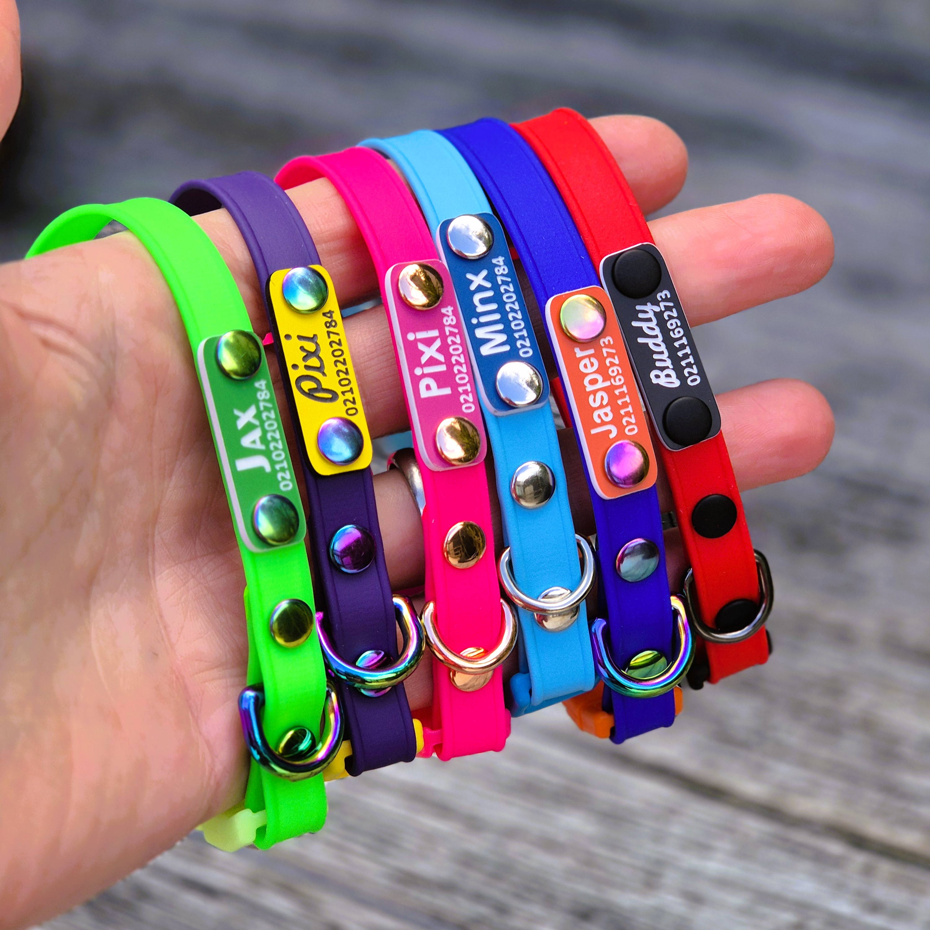 Scrag Tag Cat Collars in Hand - Outdoors