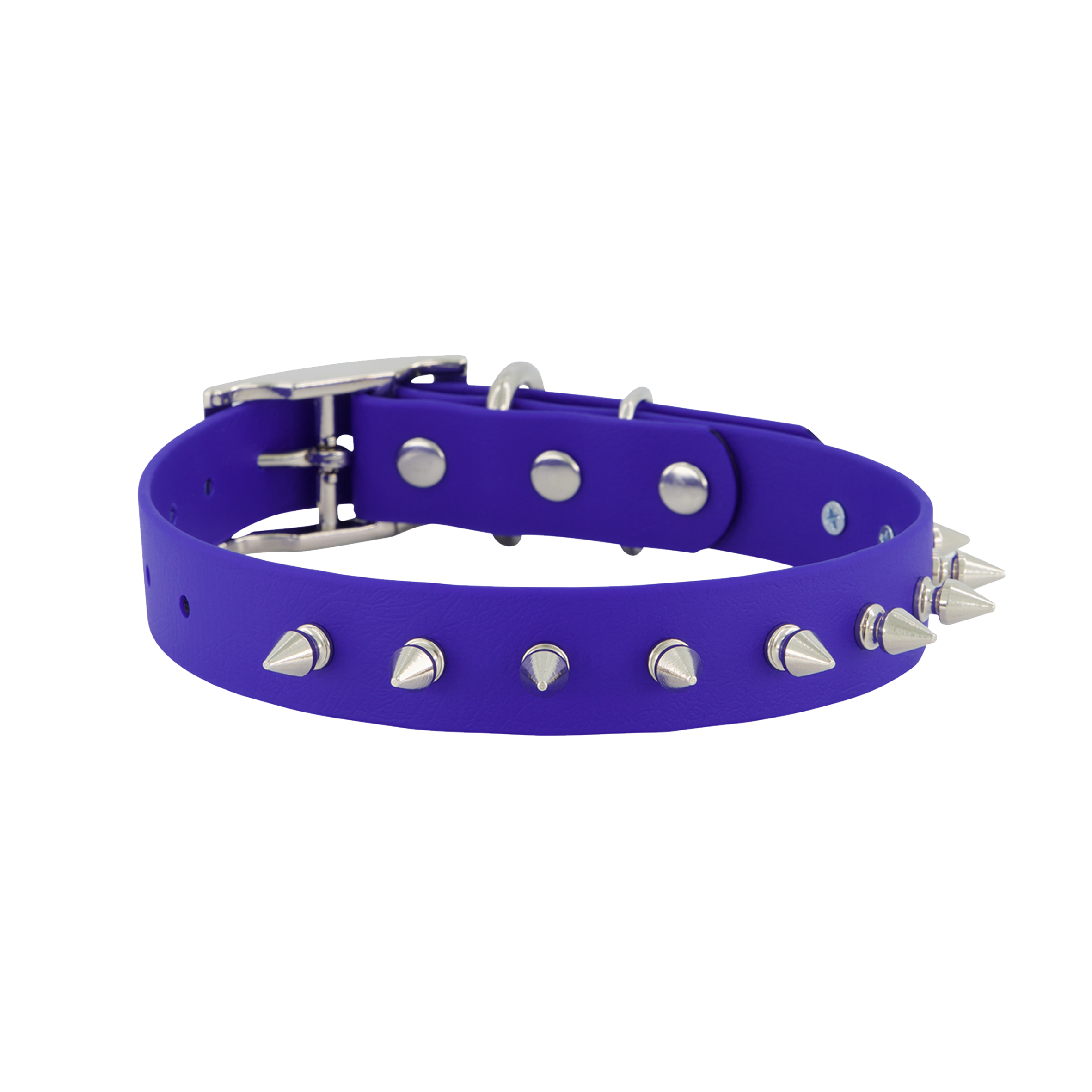 Fierce Dog Collar - Royal Blue with Silver