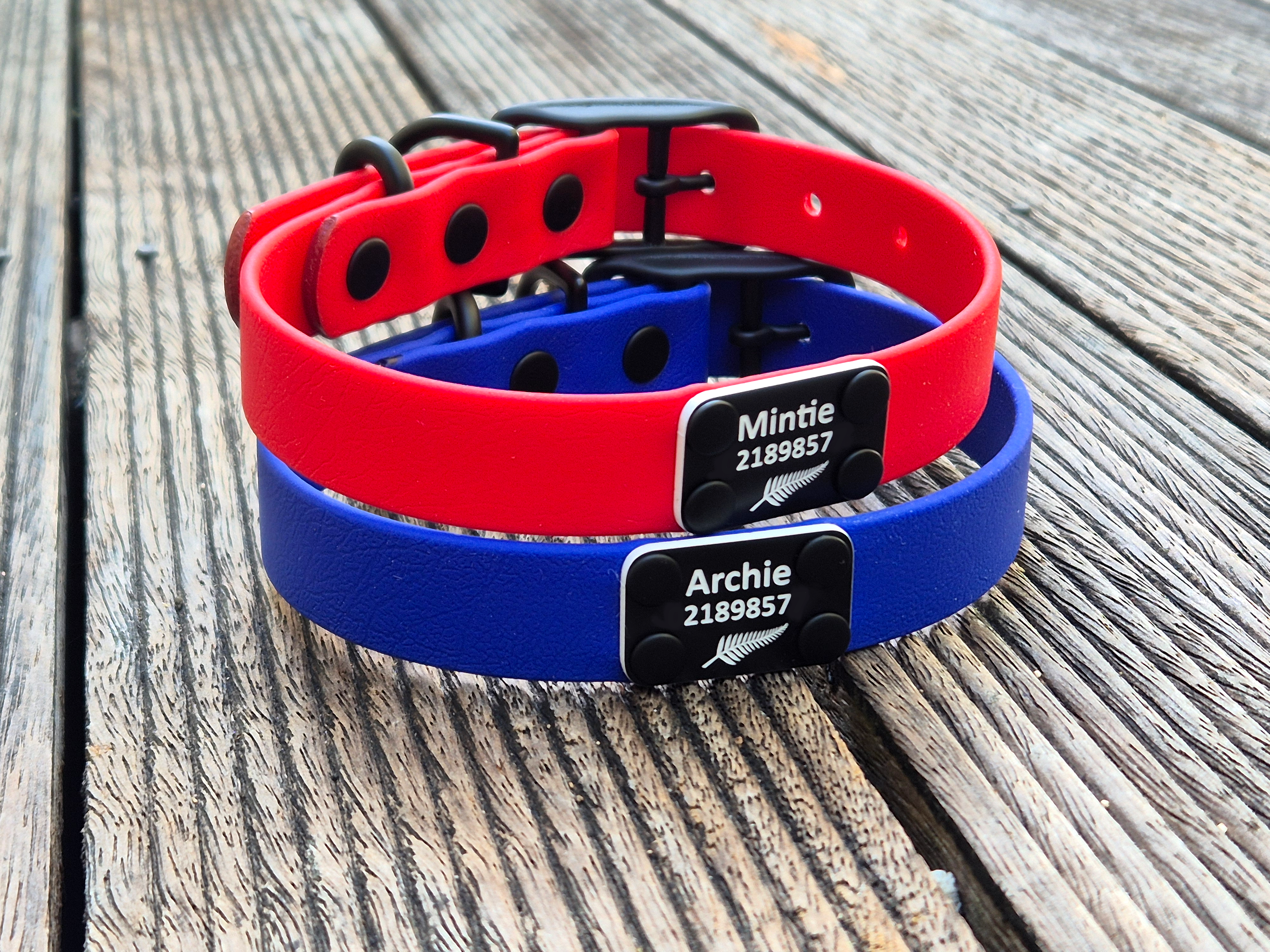 Classic Dog Collars - Small Red and Royal Blue - Black Brass and Personalised