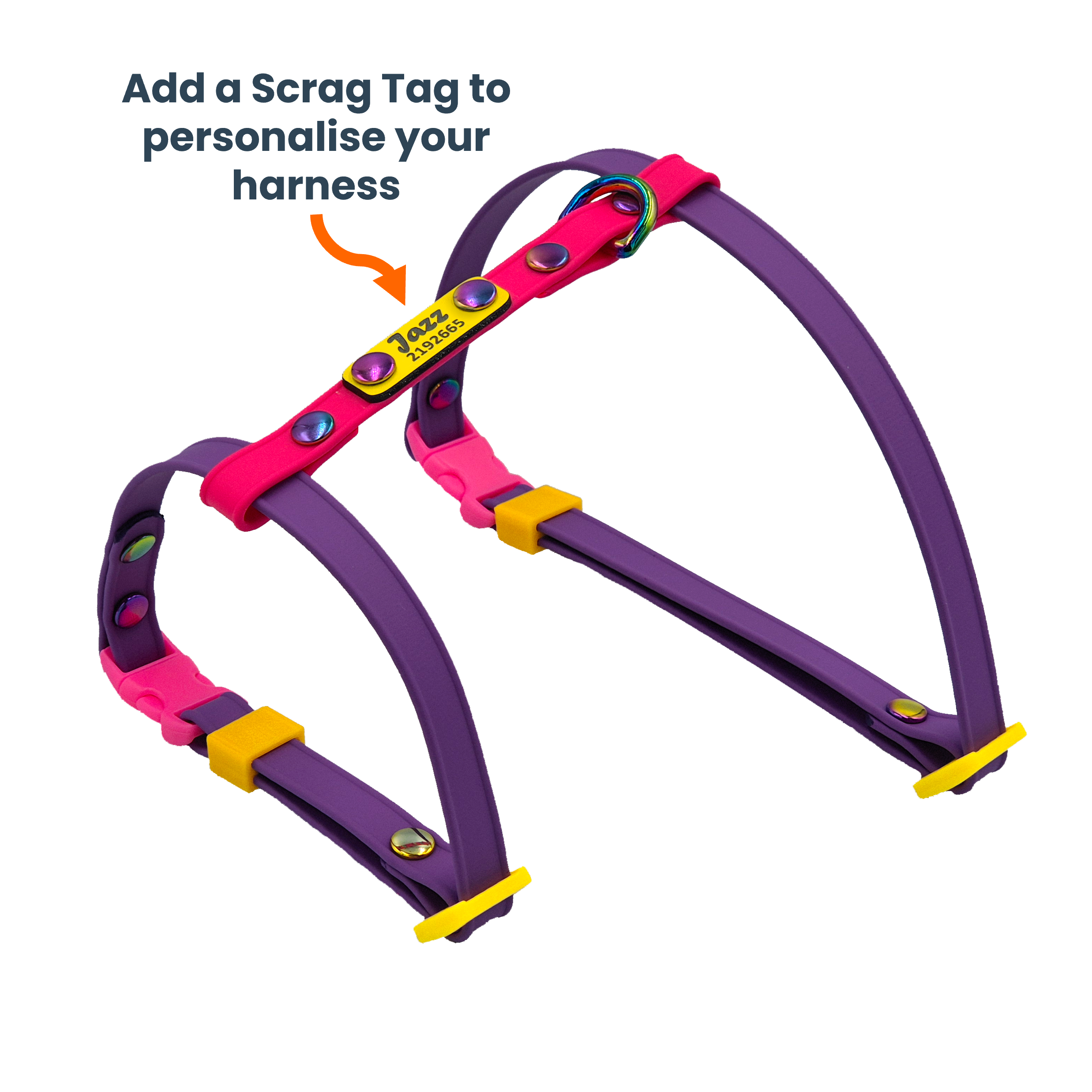 Figure 8 Cat Harness - Amethyst and Pink - with Scrag Tag