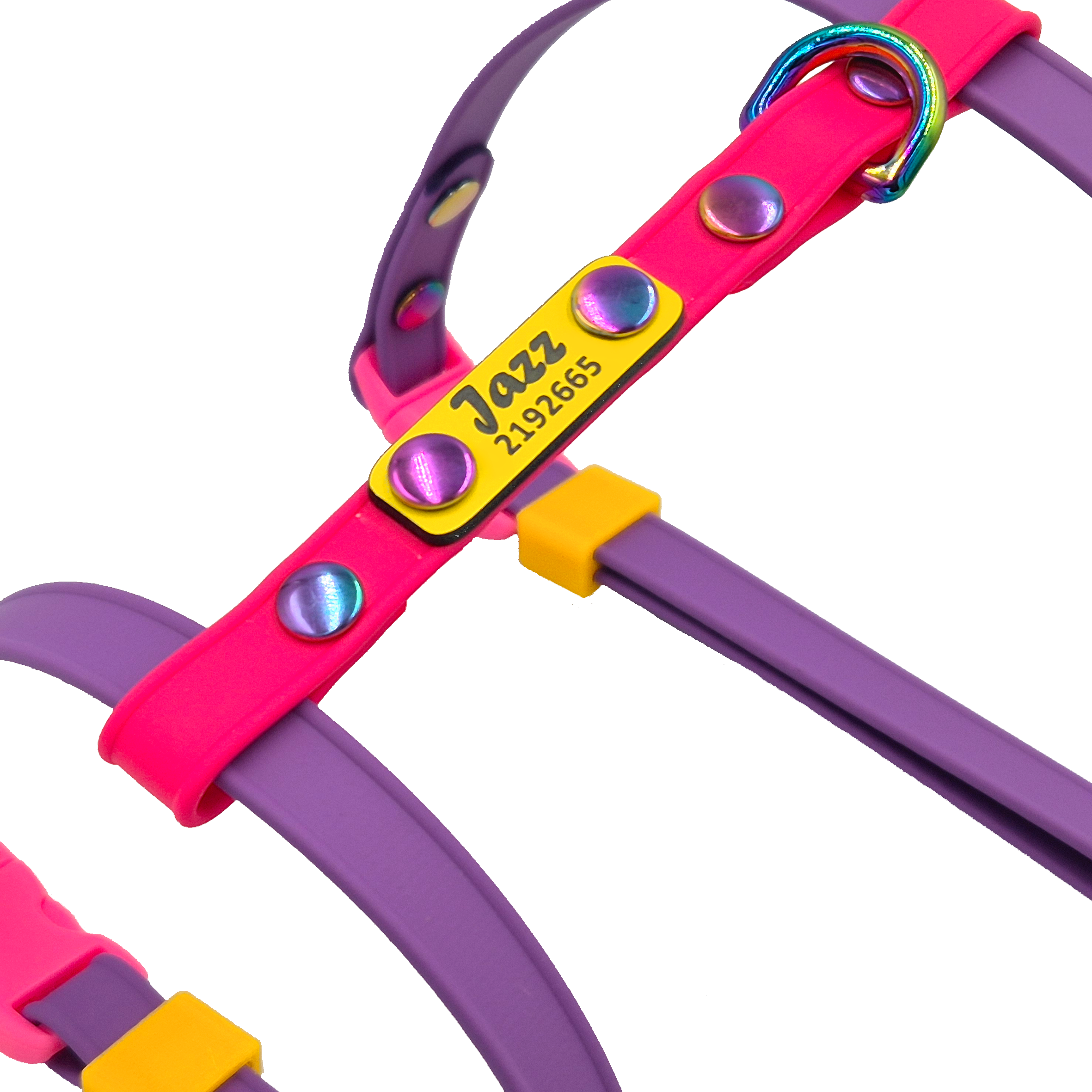 Scrag Tag - Yellow and Black - on Figure 8 Cat Harness