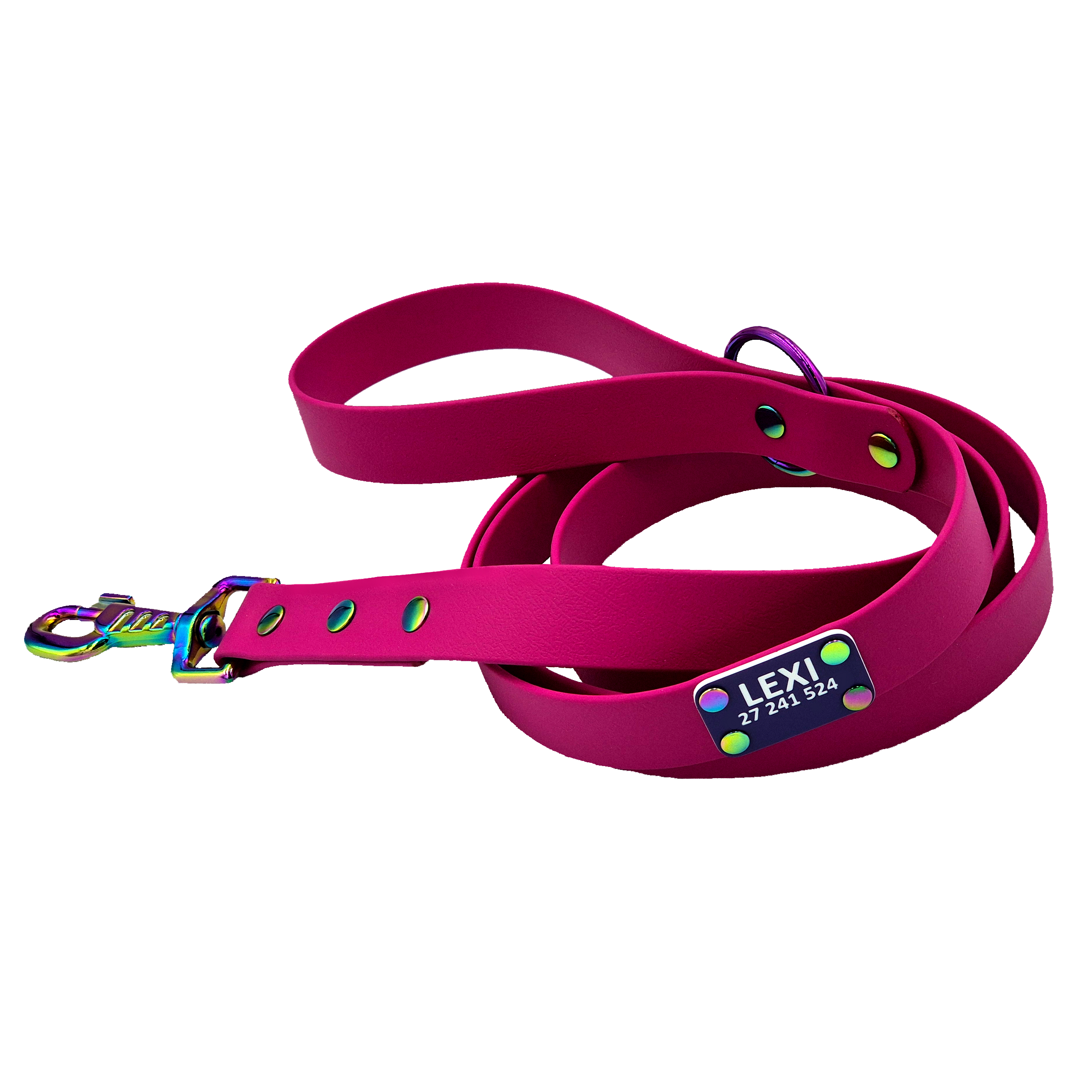 Classic Dog Lead - Magenta and Neo - with Scrag Tag