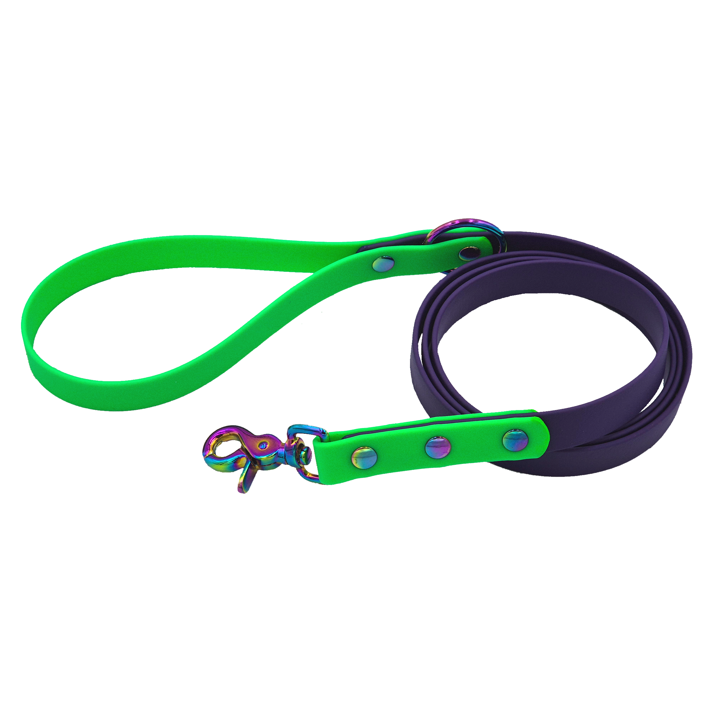Two-Tone Classic Dog Lead - Violet and Green with Neo