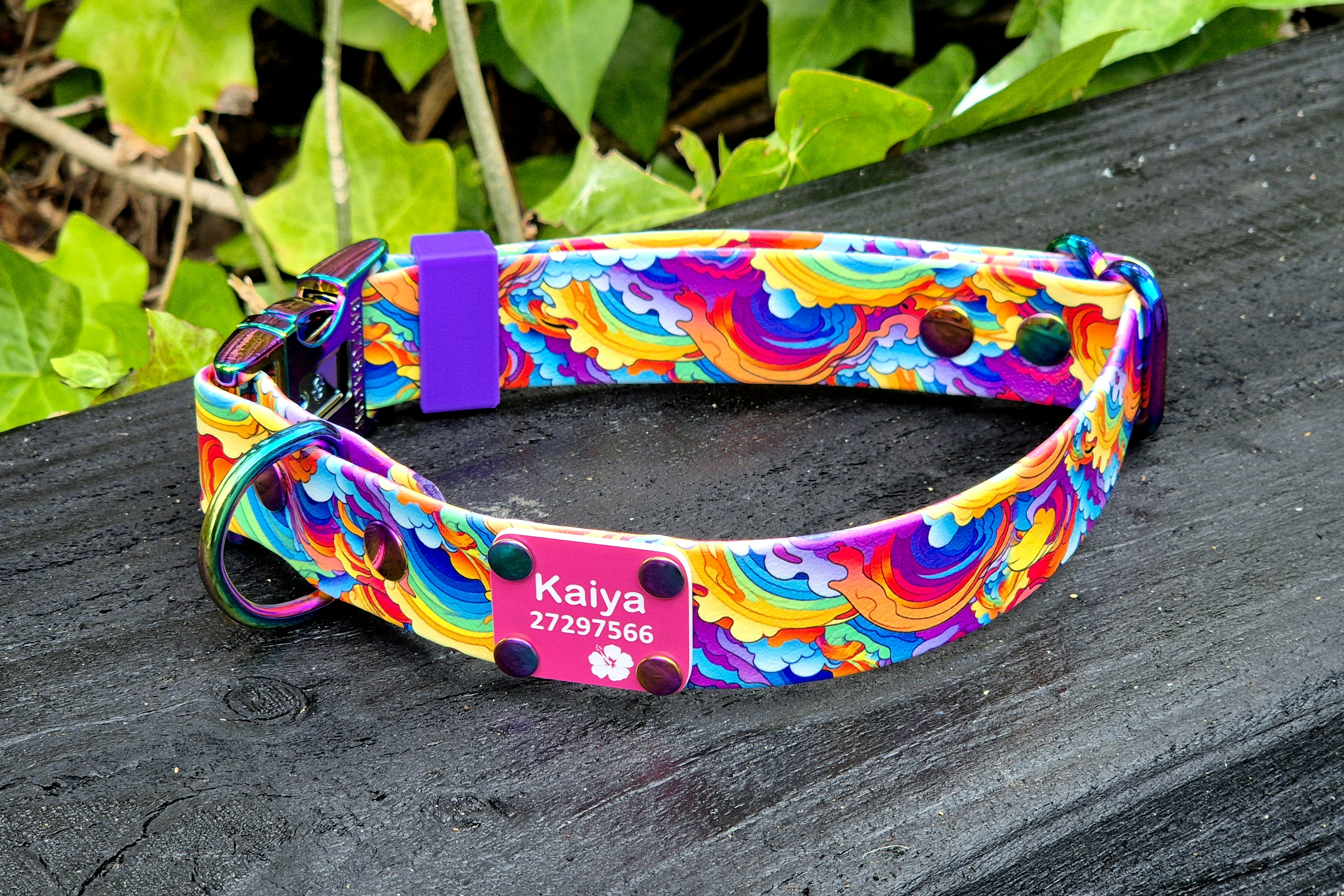 Designed Quick Release Collar - Rainbow Forest and Neo