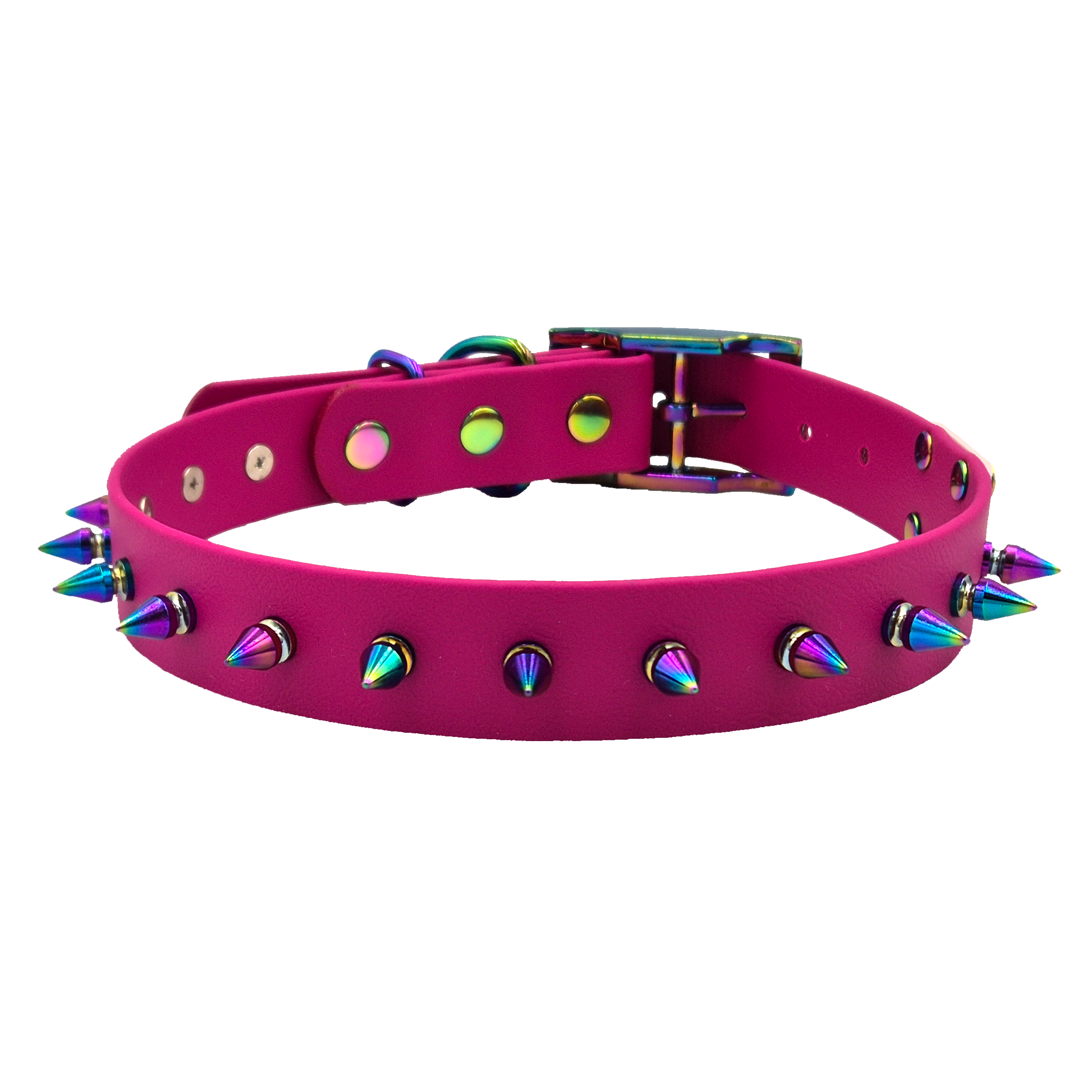 Fierce Dog Collar - Magenta and Neo with Scrag Tag