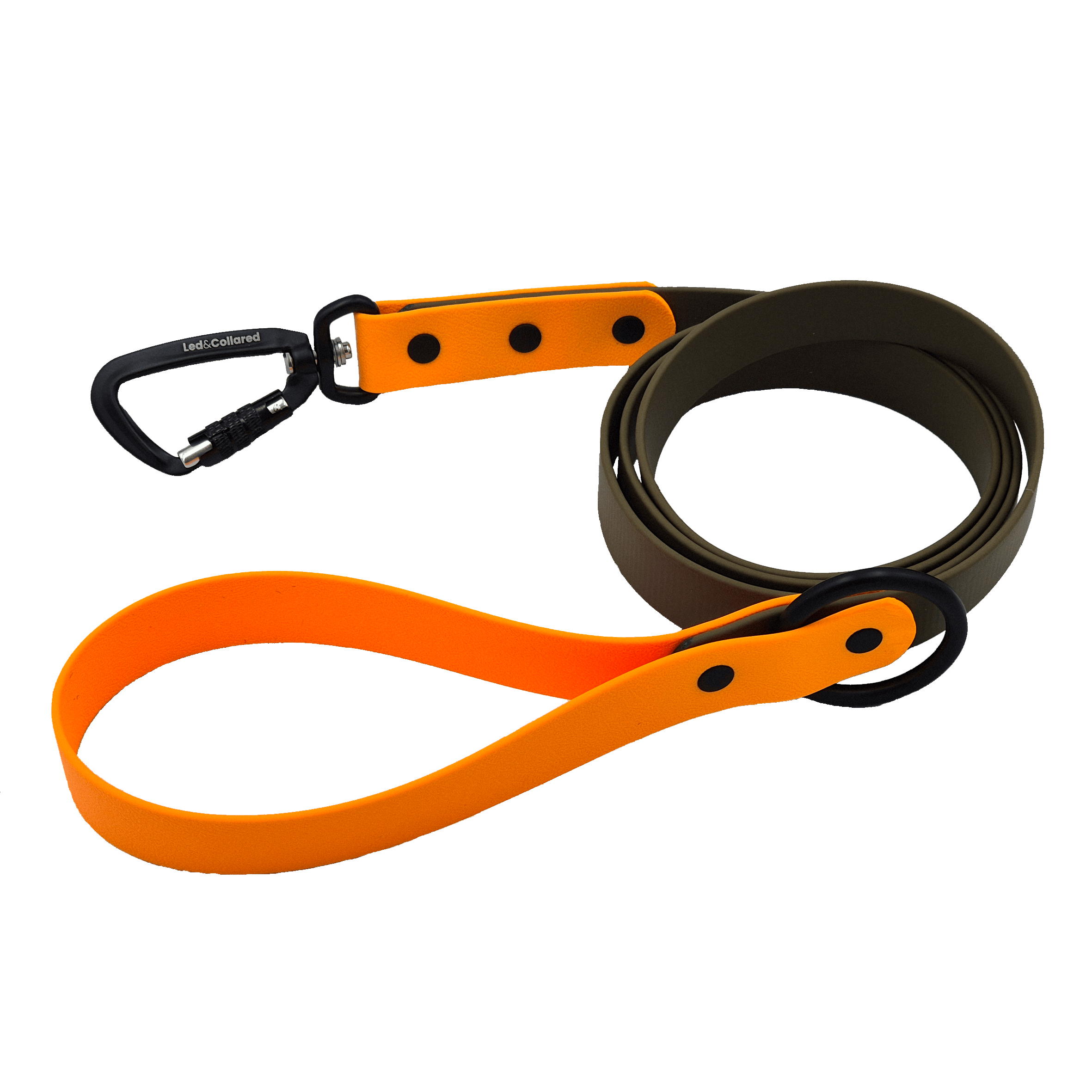 Two-Tone Carabiner Dog Lead - Light Orange and Black
