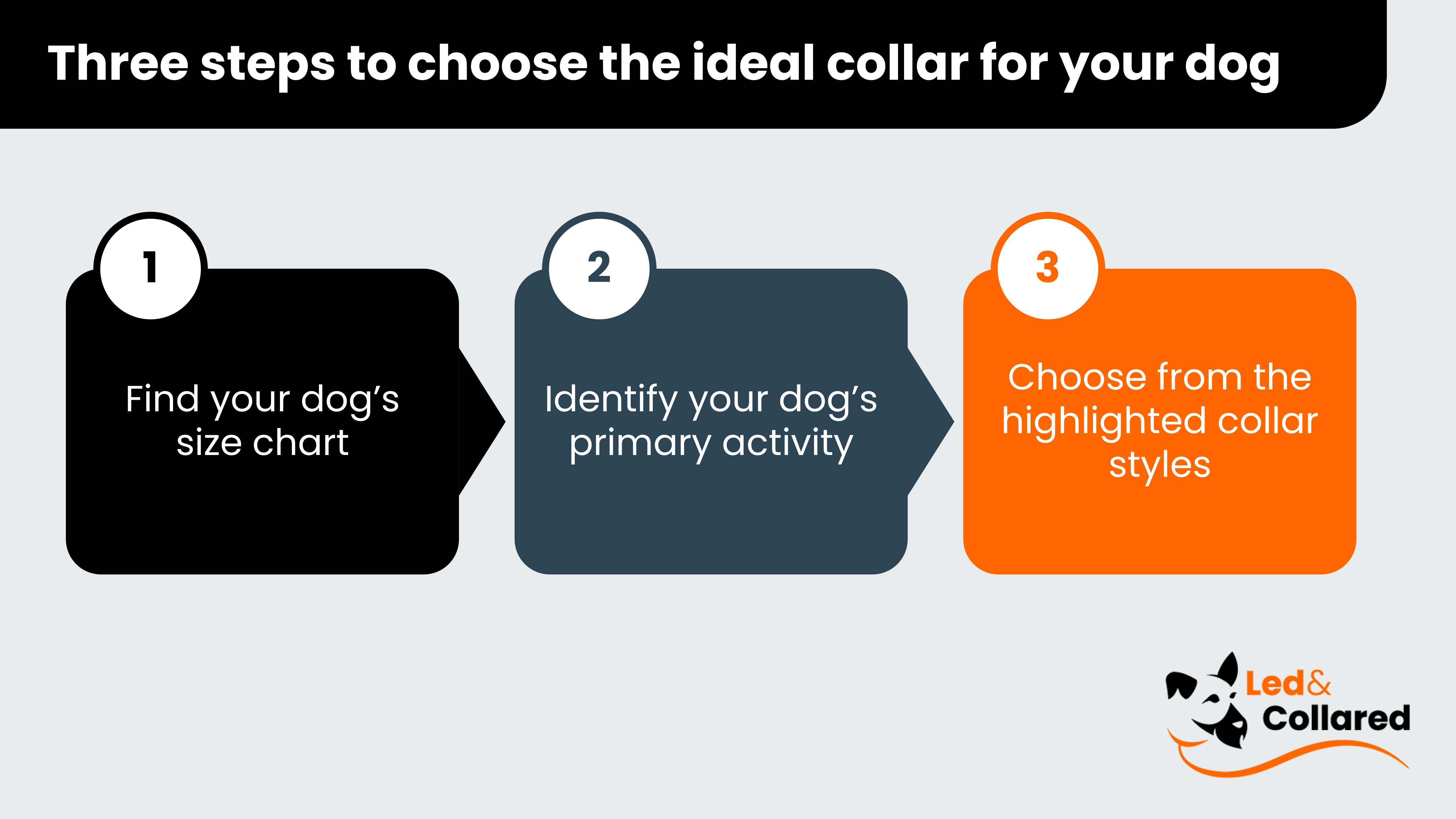 3 step process - Guide to choose the ideal dog collar style