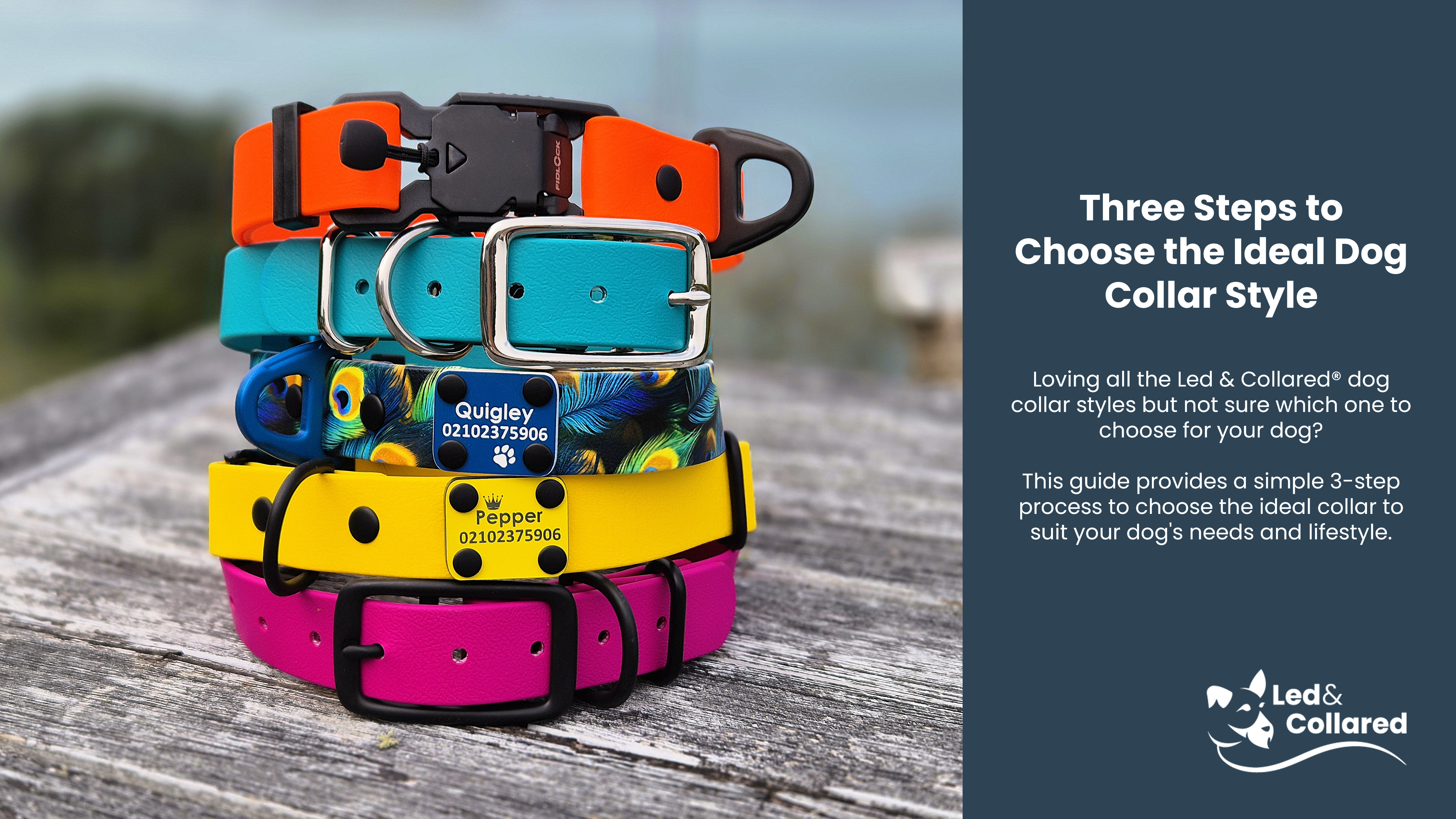 Front Cover - Guide to choose the ideal dog collar style