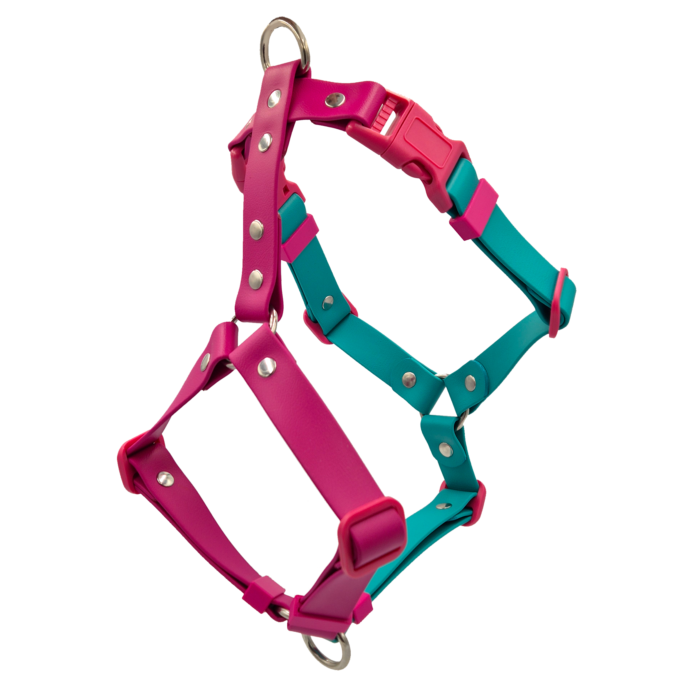 Anatomical Dog Harness - Magenta and Teal with Stainless Steel