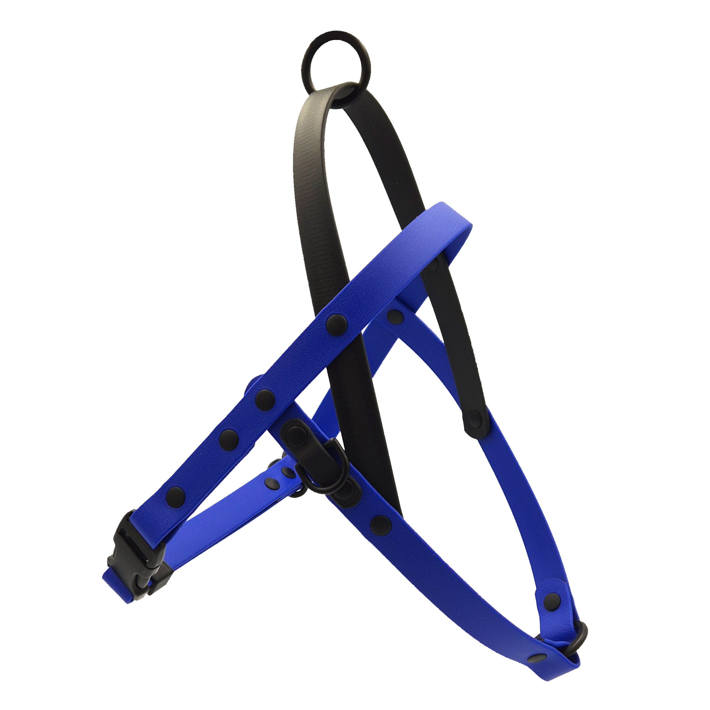 Quick Release Dog Harness - Royal Blue and Black - Black Brass
