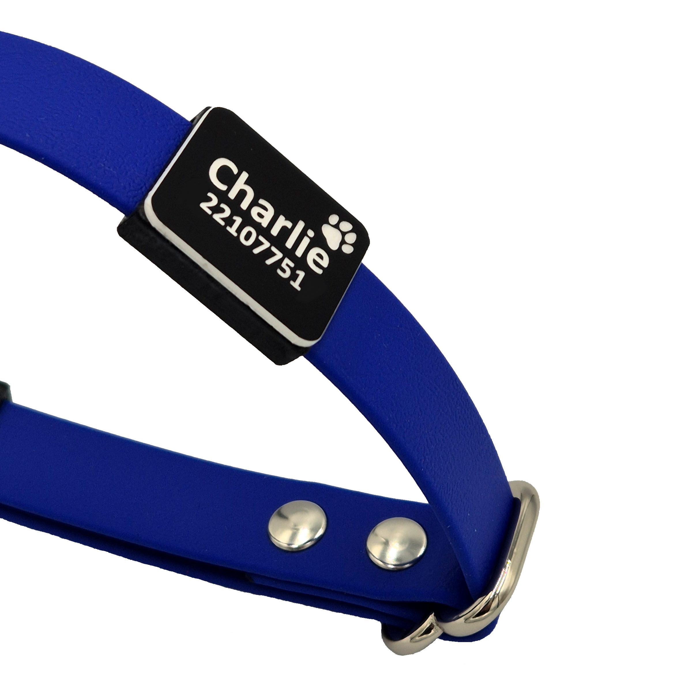 Slide on Scrag Tag - Black and White on Royal Blue