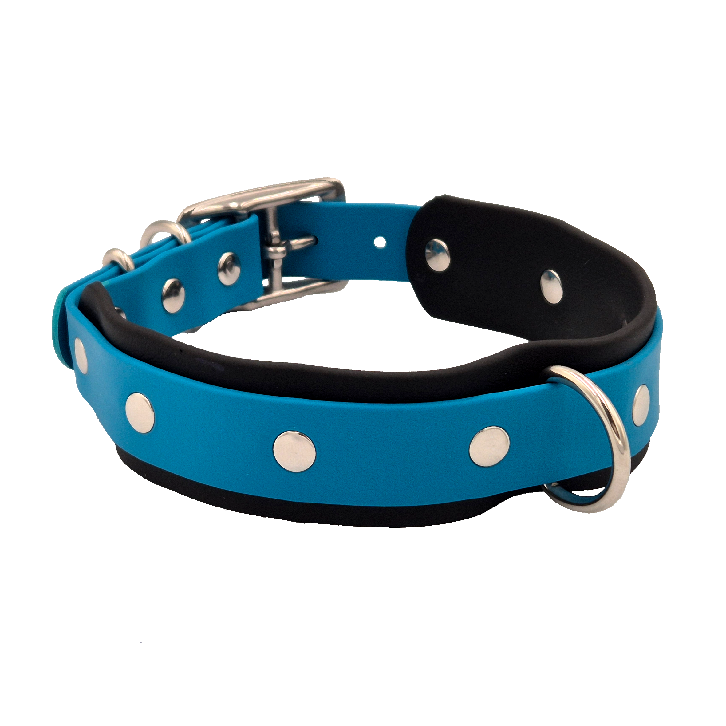 Tactical Dog Collar - Black and Lagune Blue