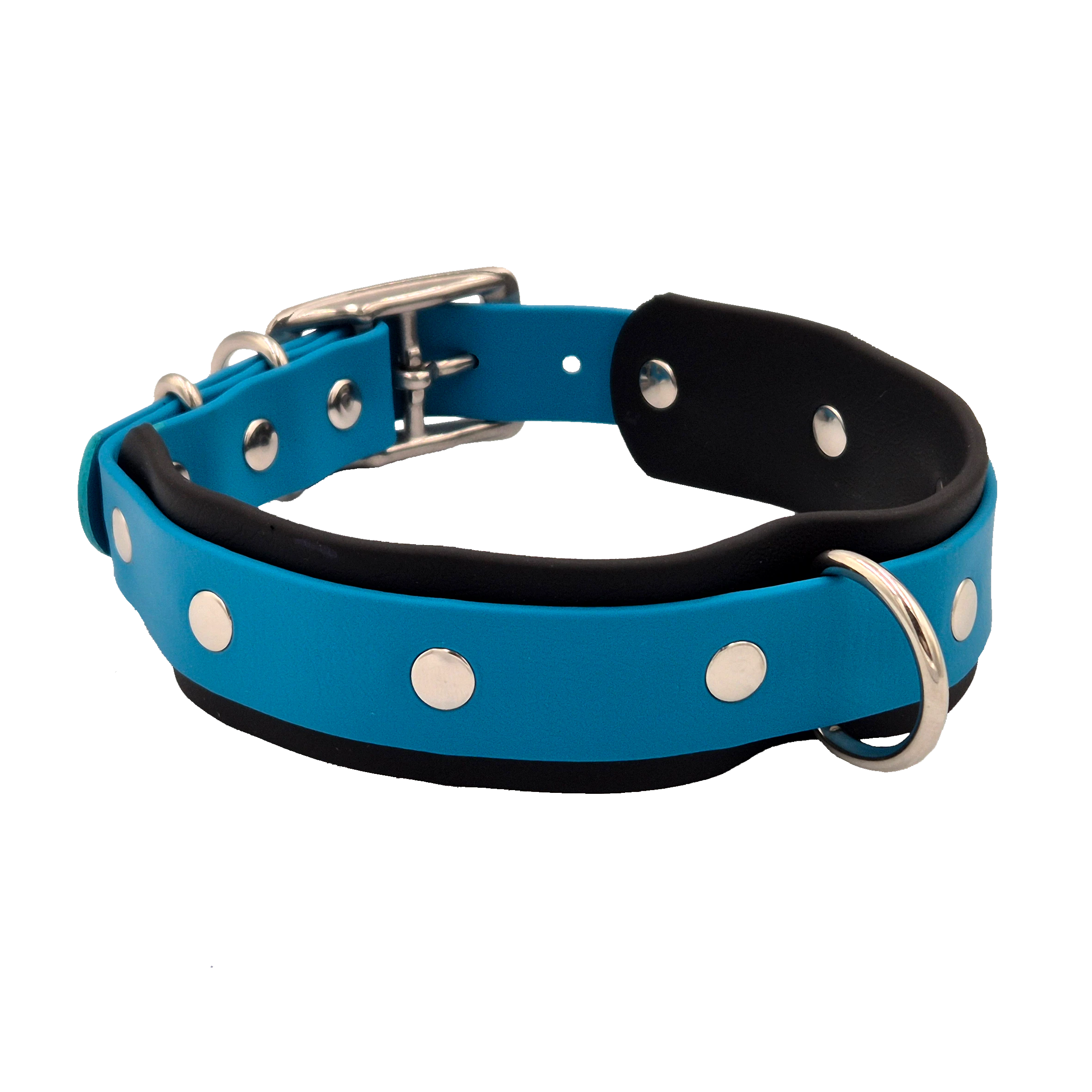 Tactical Dog Collar - Black and Lagune Blue