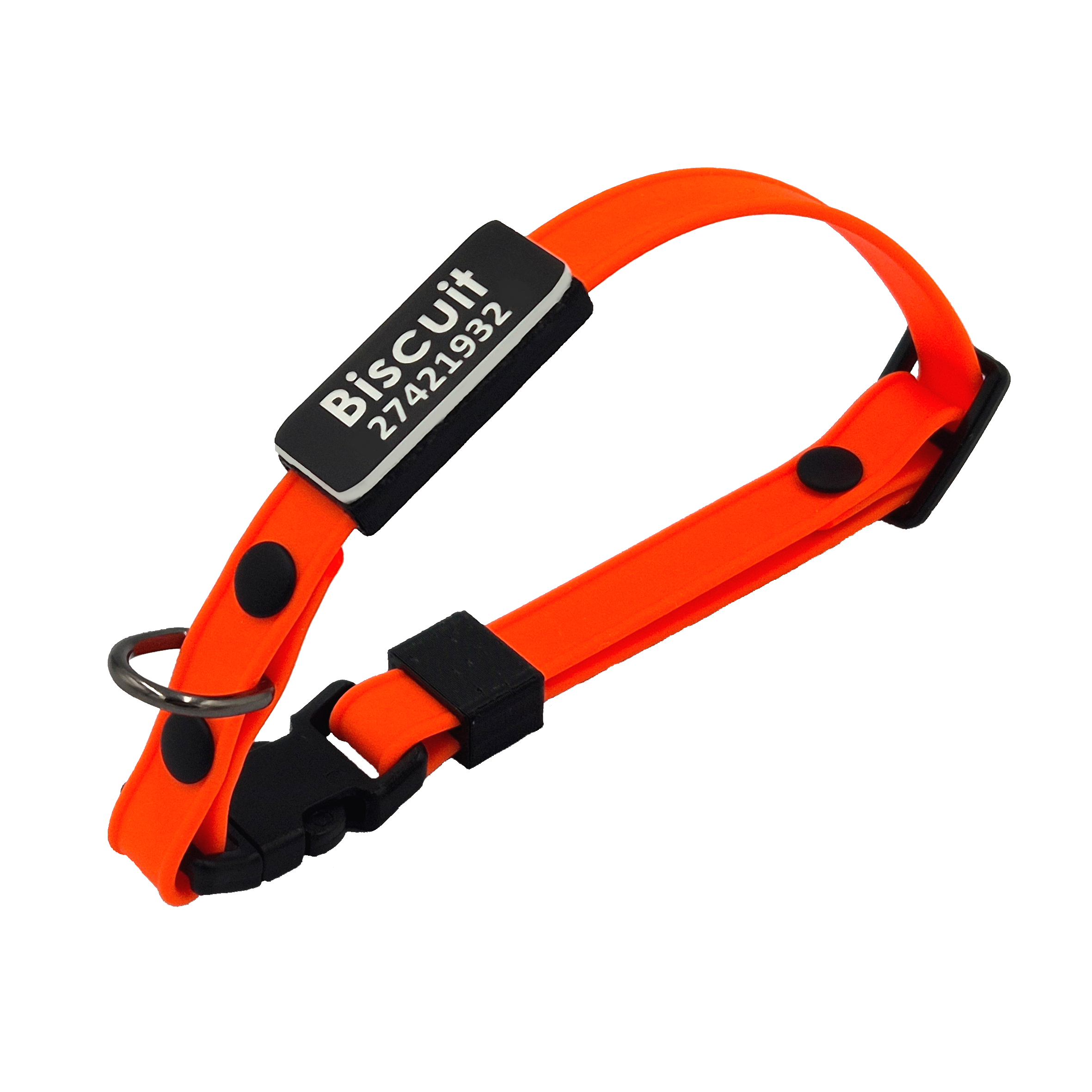 Slide-On Scrag Tag Cat Collar - Bright Orange and Black - Black and White Tag