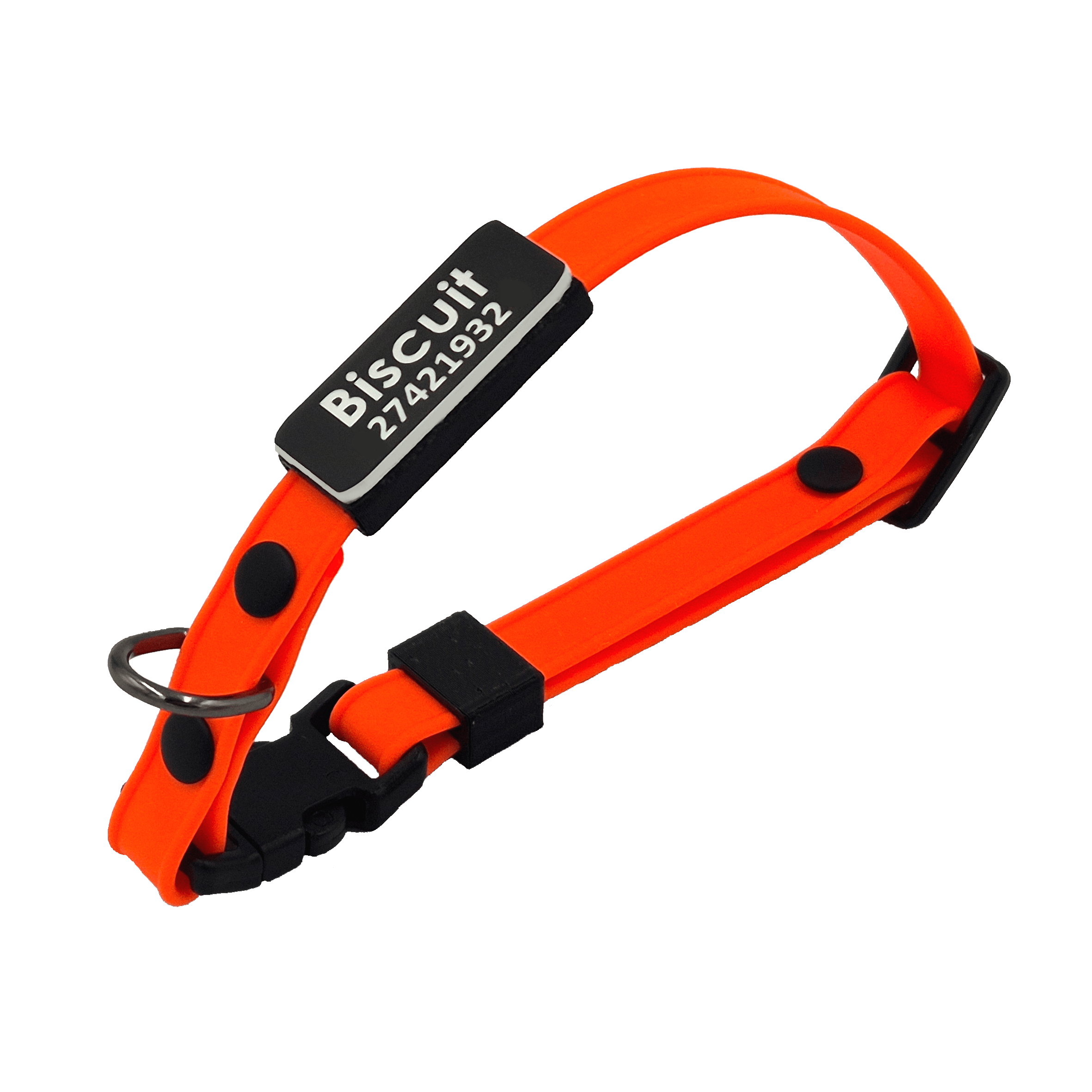 Slide-On Scrag Tag Cat Collar - Bright Orange and Black - Black and White Tag