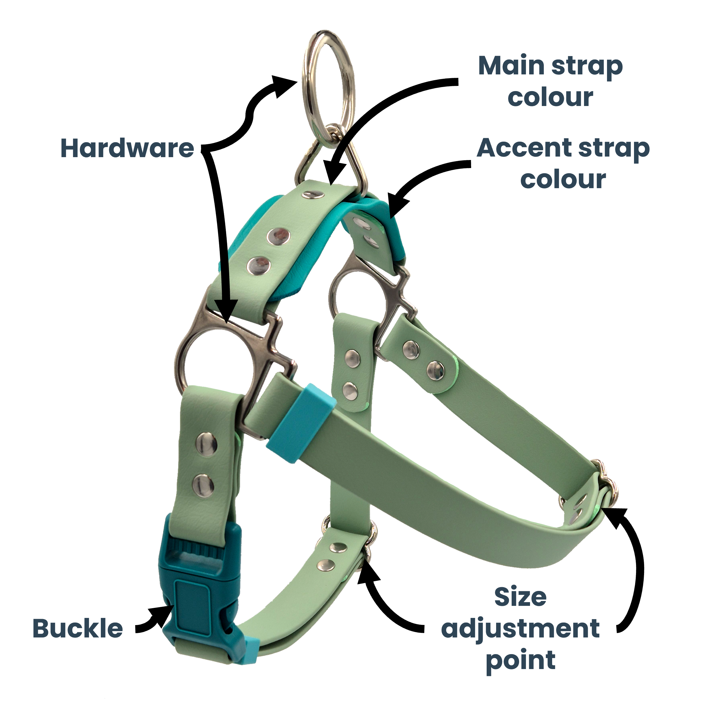 Quick Release Dog Harness - Sage and Teal with Stainless Steel - Labelled