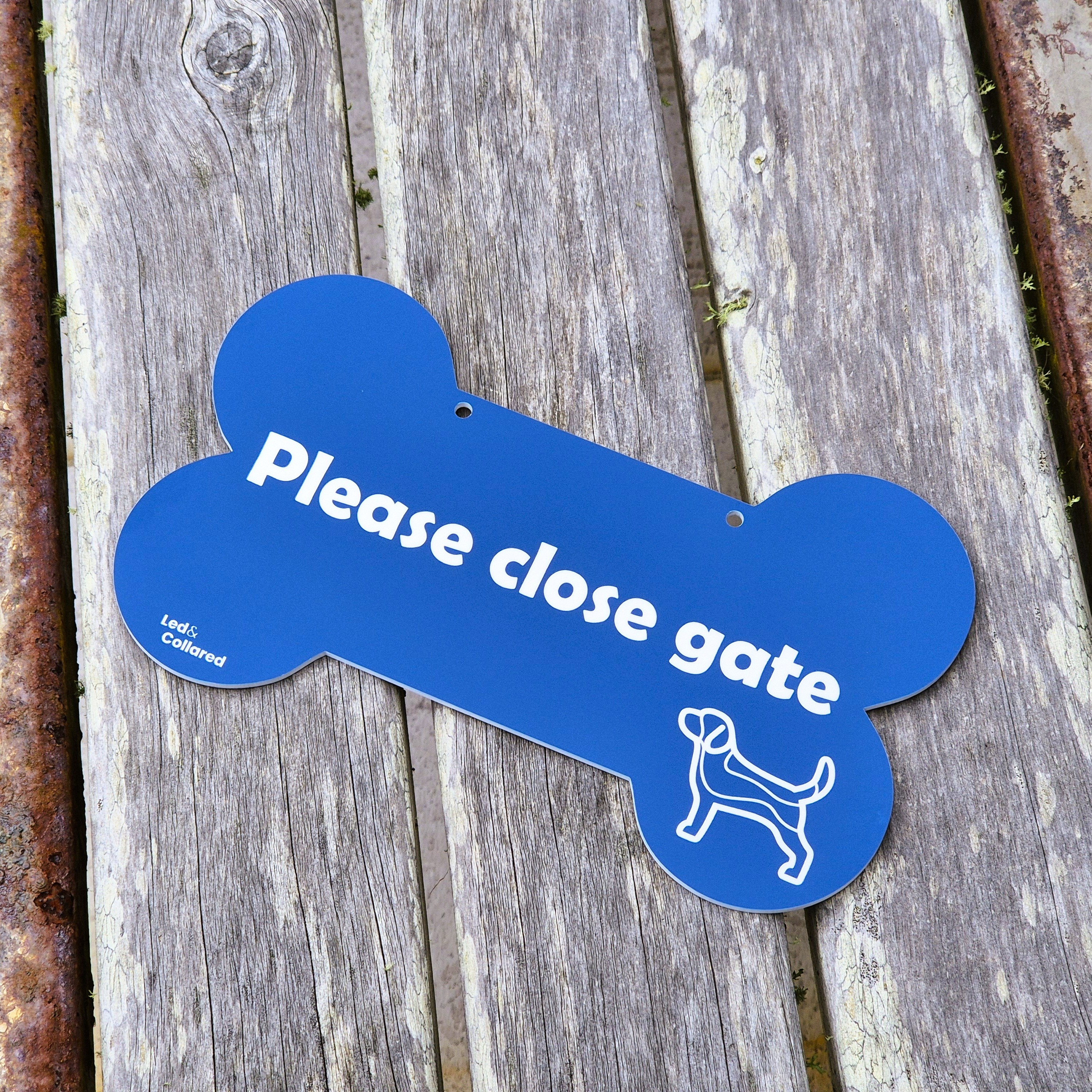 Custom sign - blue and white bone