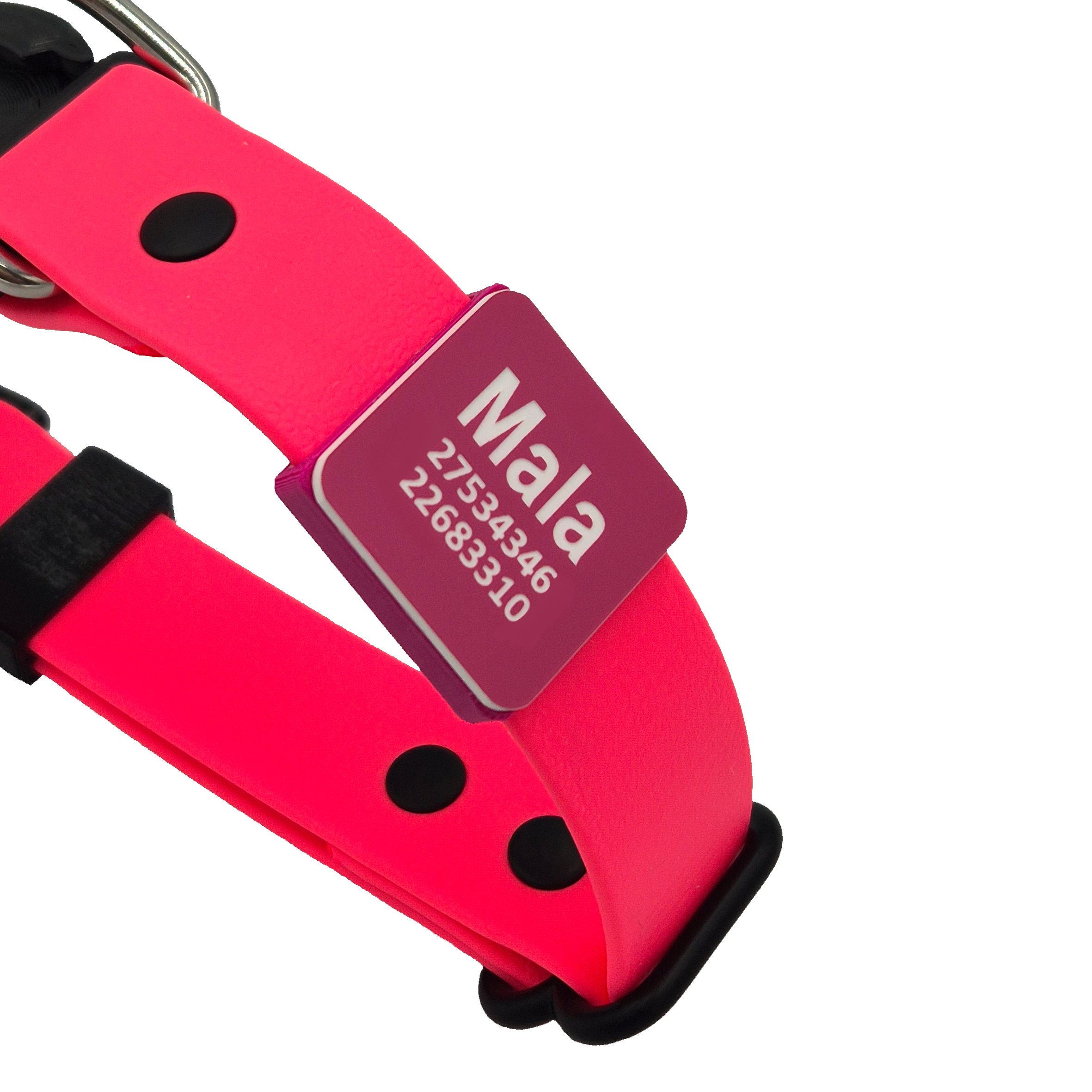 Slide-On Scrag Tag - Pink and White on Pink Collar