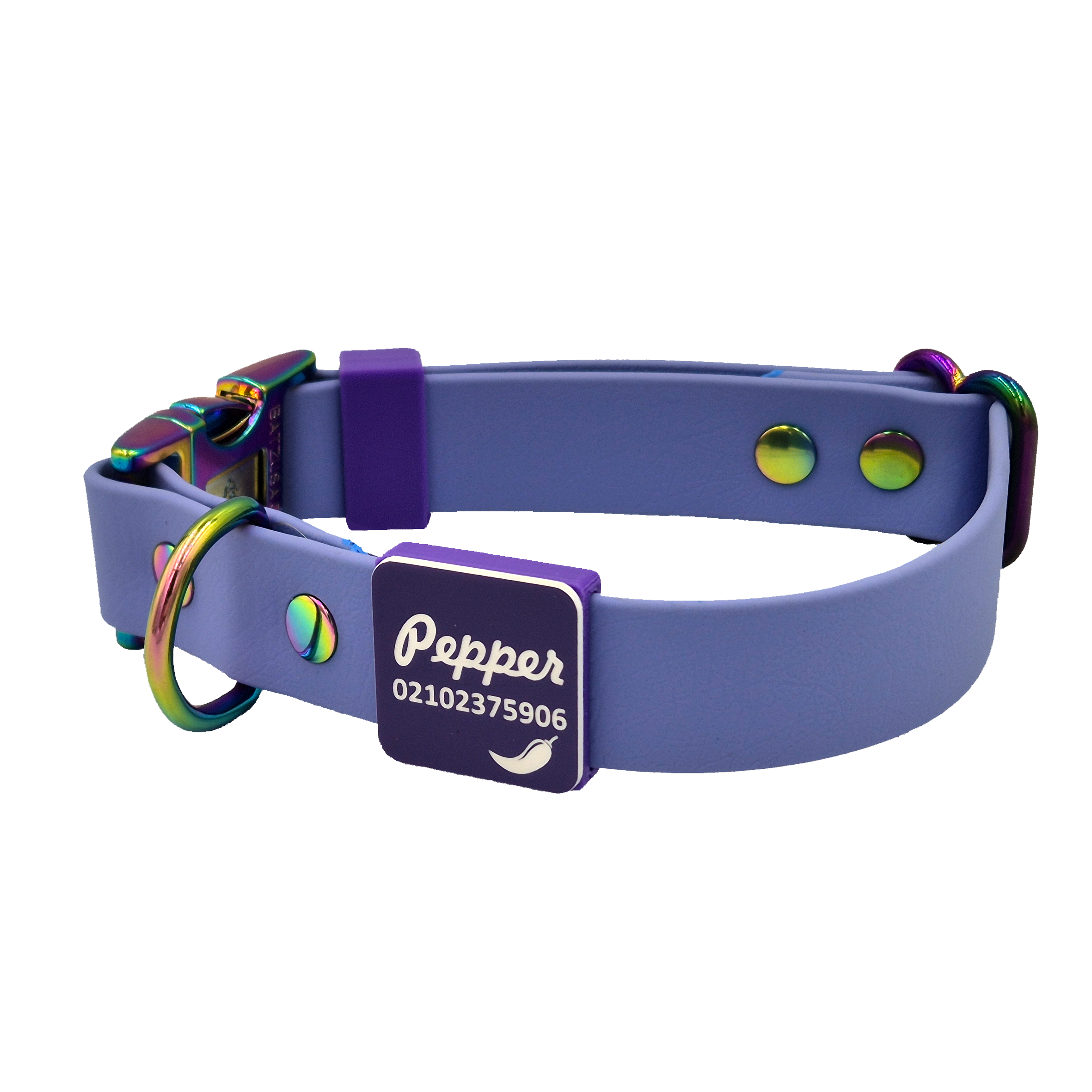 Quick Release Dog Collar - Periwinkle and Neo - Slide-on Scrag Tag