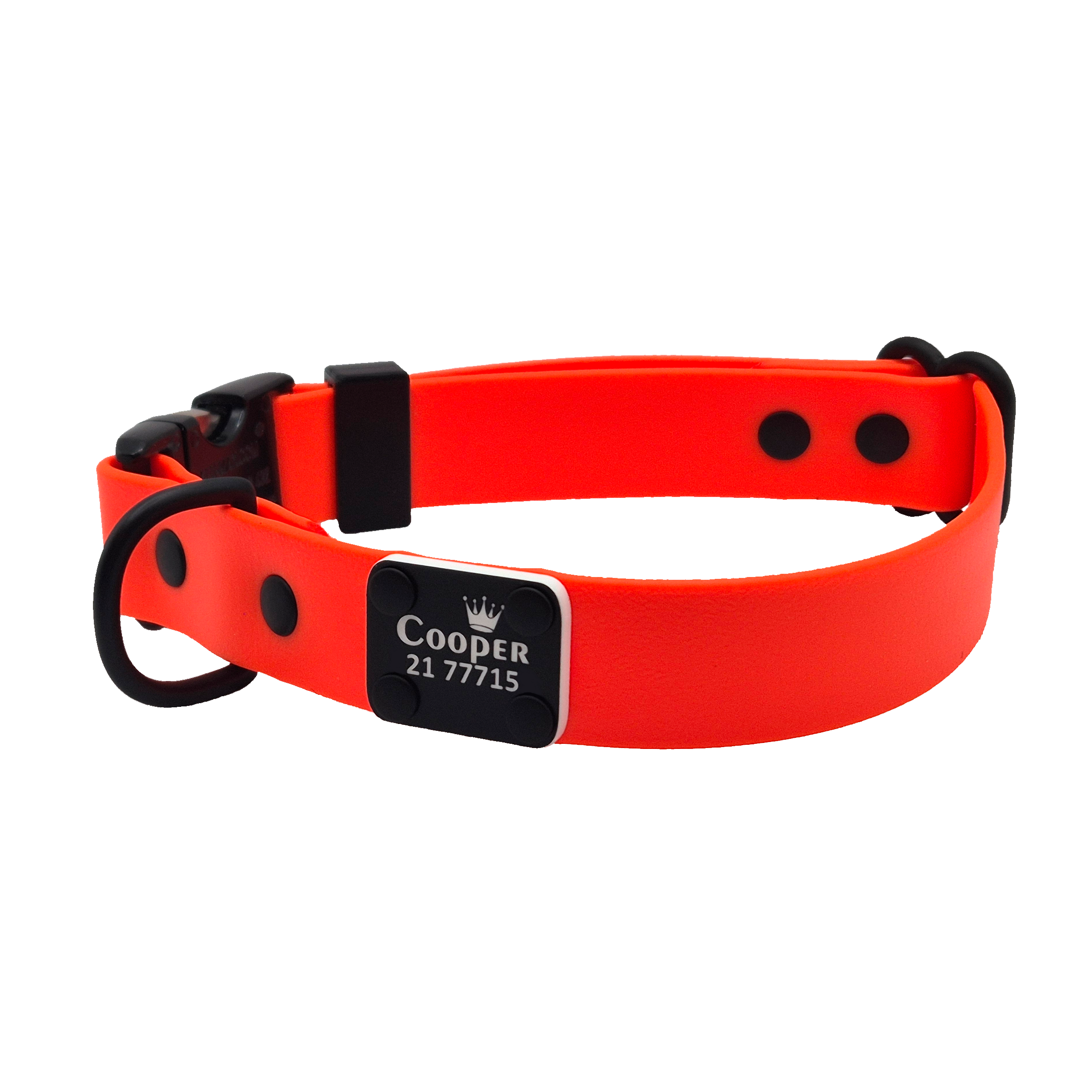 Quick Release Dog Collar - Bright Pramnhe with Black and Gunmetal Harware - Scrag Tag