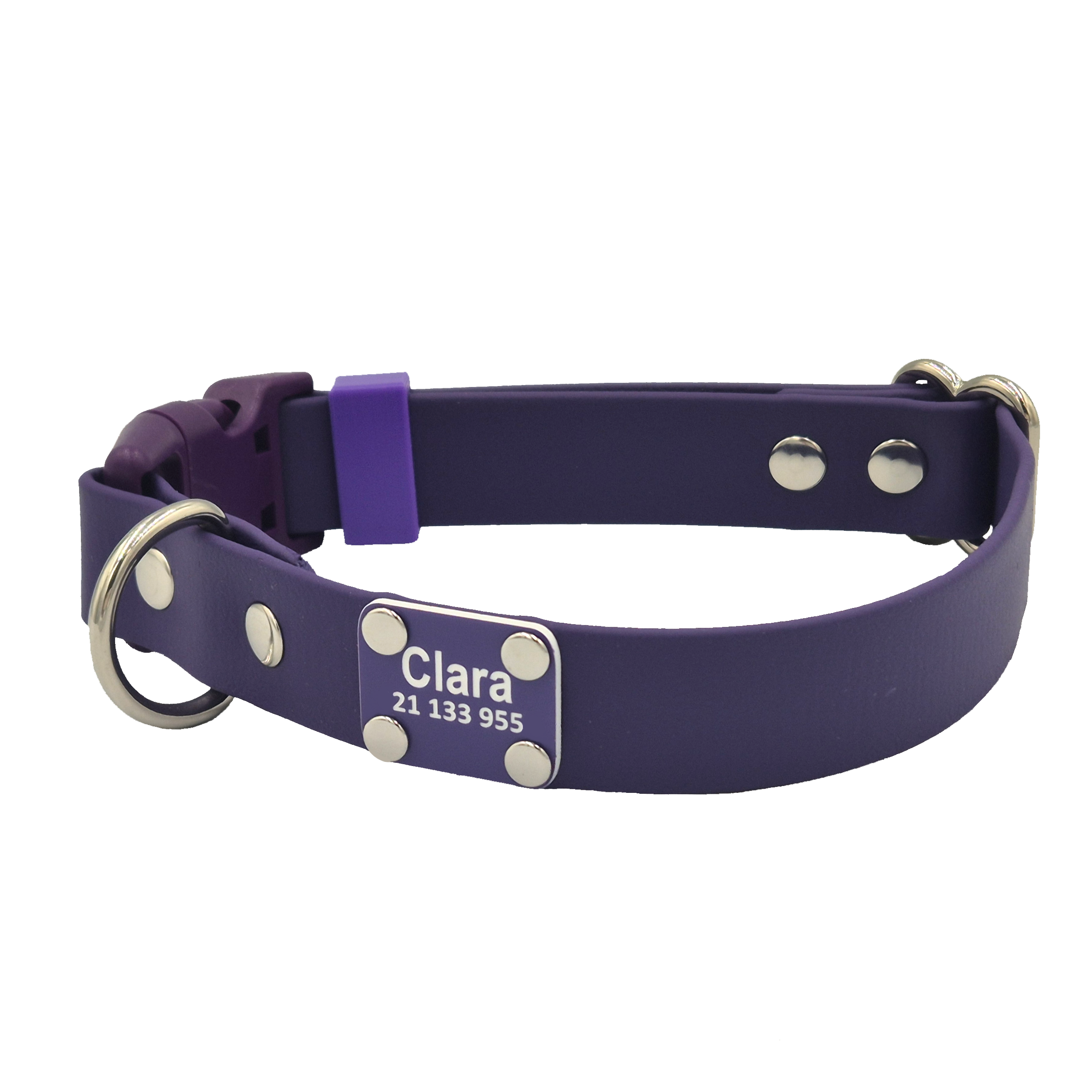 Quick Release Dog Collar - Violet with Plastic Harware - Scrag Tag