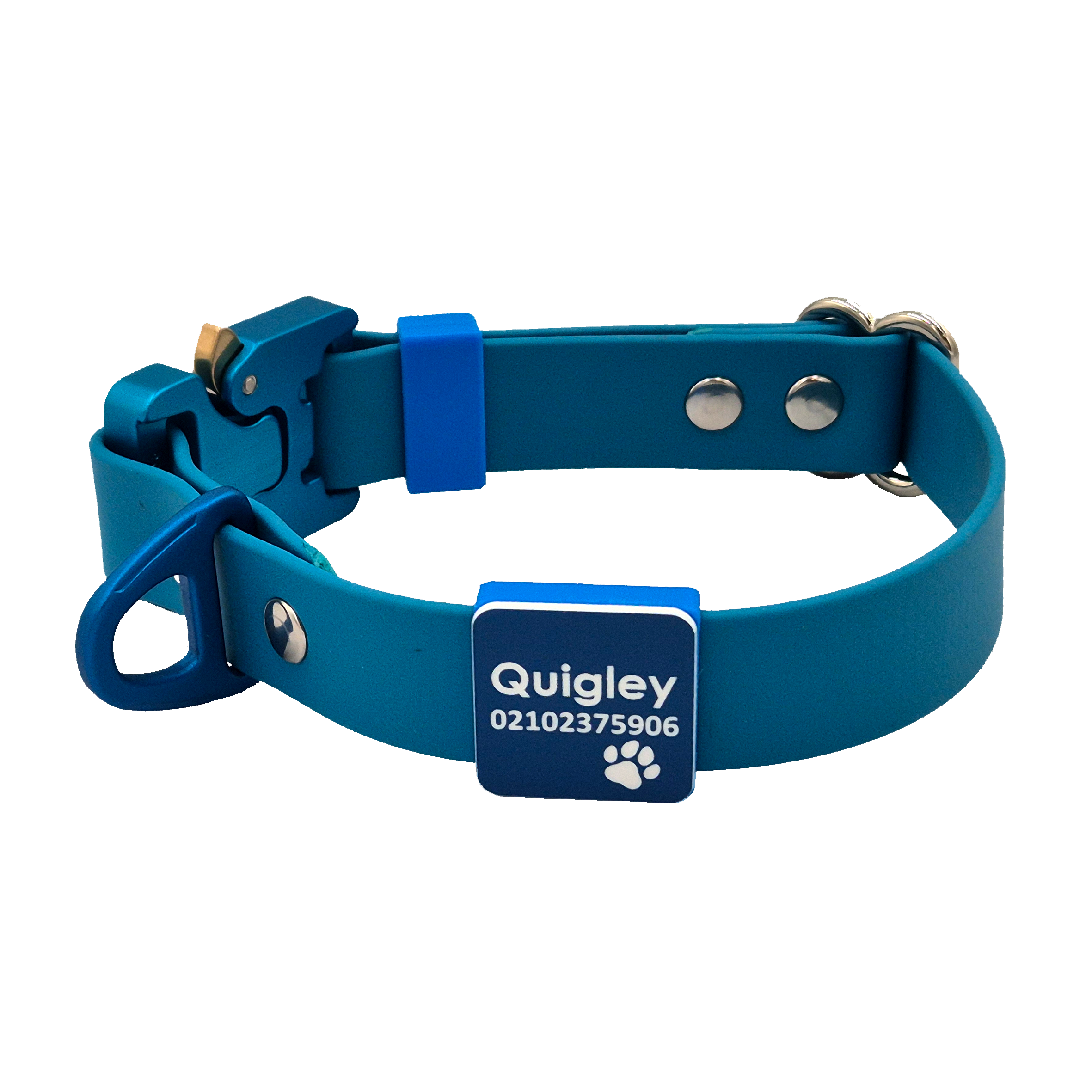 Cobra Collar - Lagune Blue with Blue Cobra - Slide-on Scrag Tag