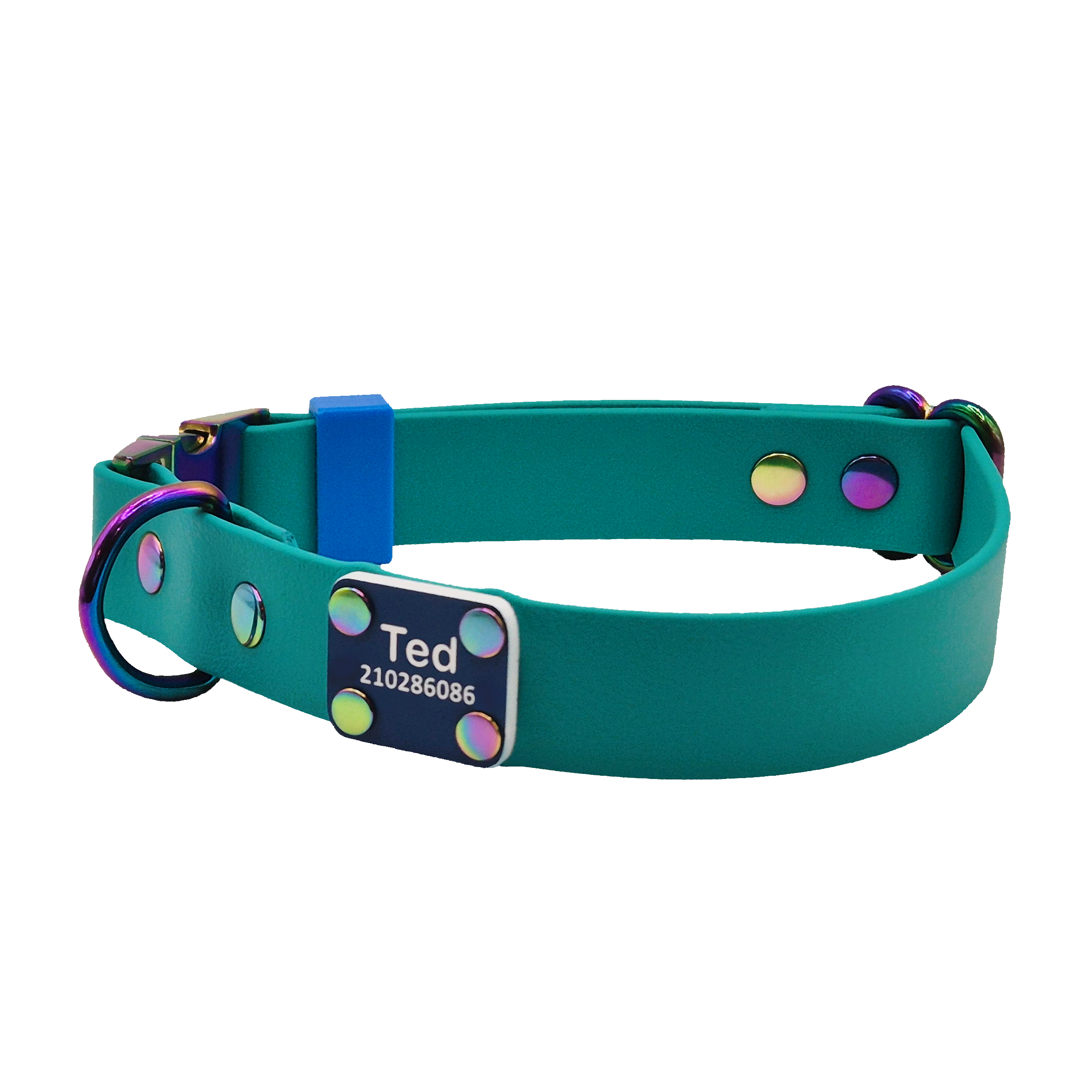 Quick Release Dog Collar - Teal with Neo Hardware - Scrag Tag