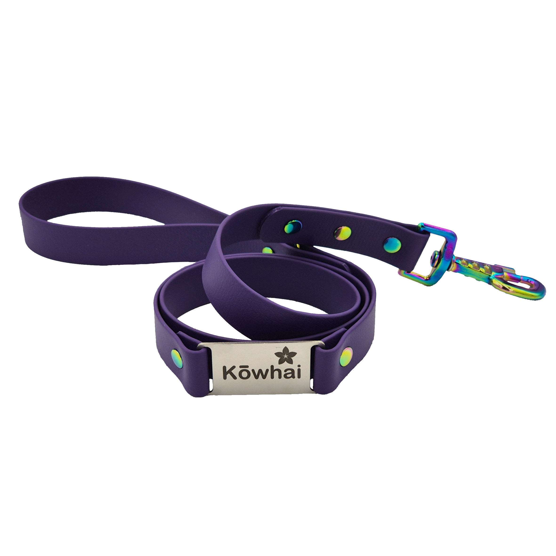 Labelled Dog Lead - Wide - Violet and Neo