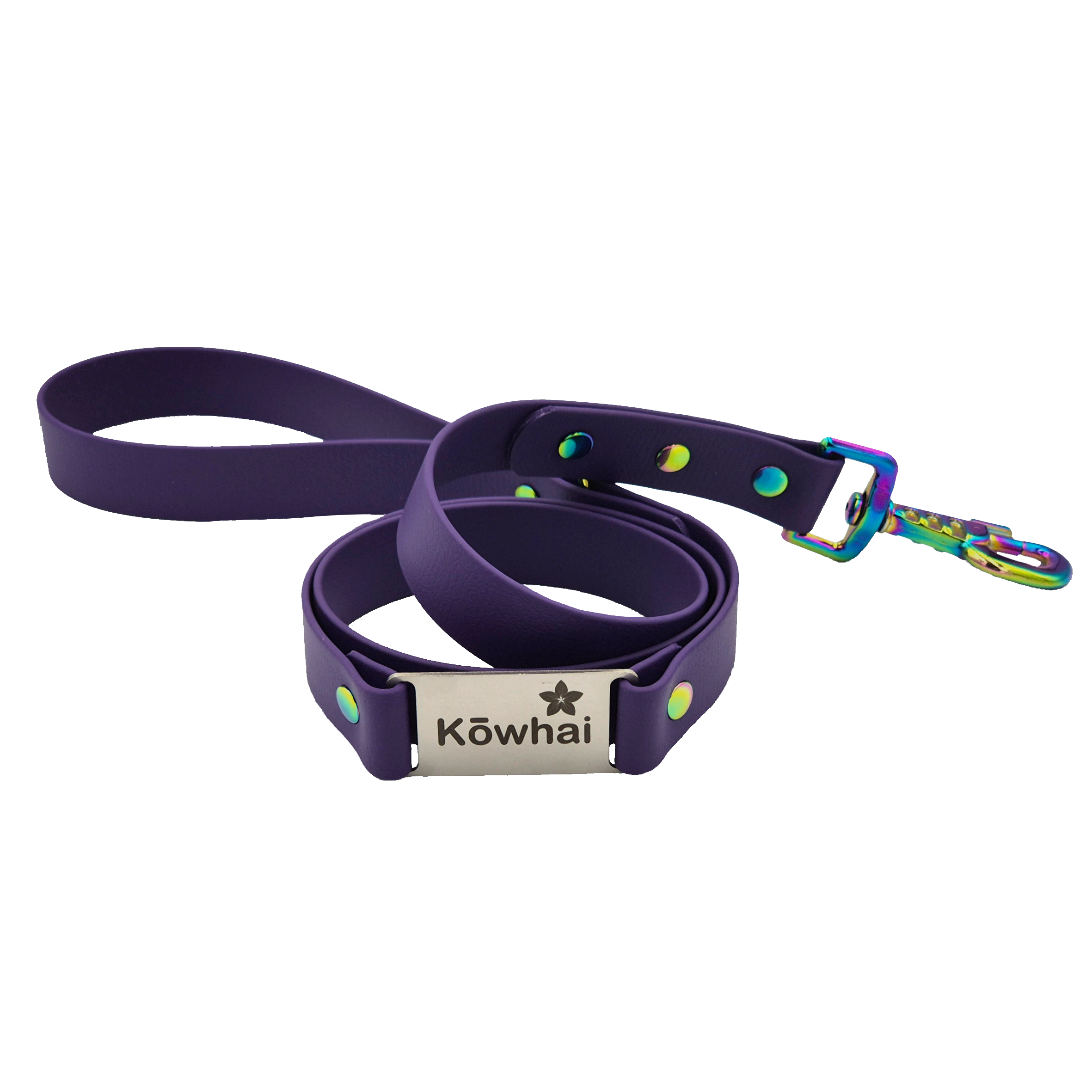 Labelled Dog Lead - Wide - Violet and Neo