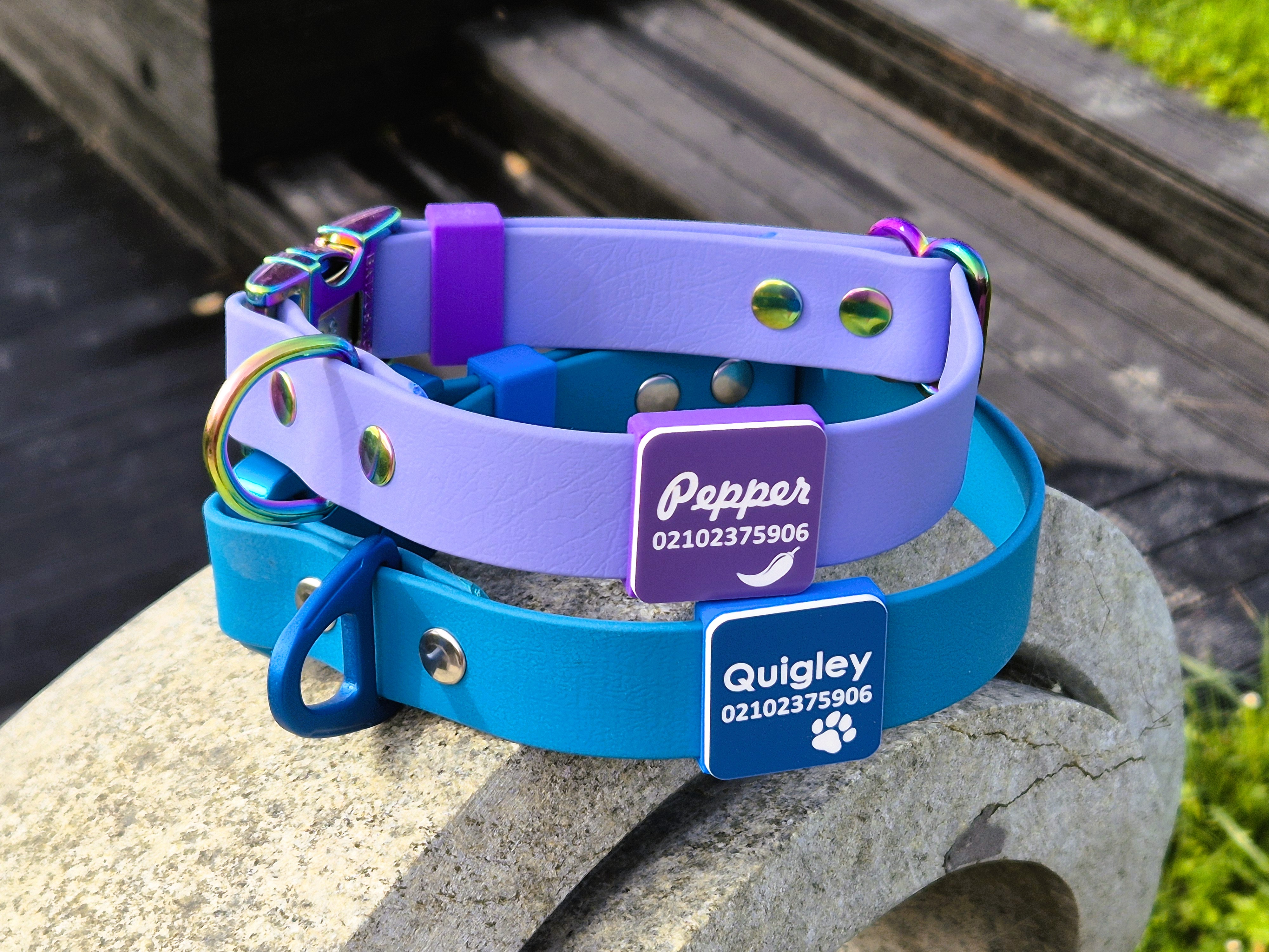 Dog collars - slide-on scrag tag - cobra and quick release